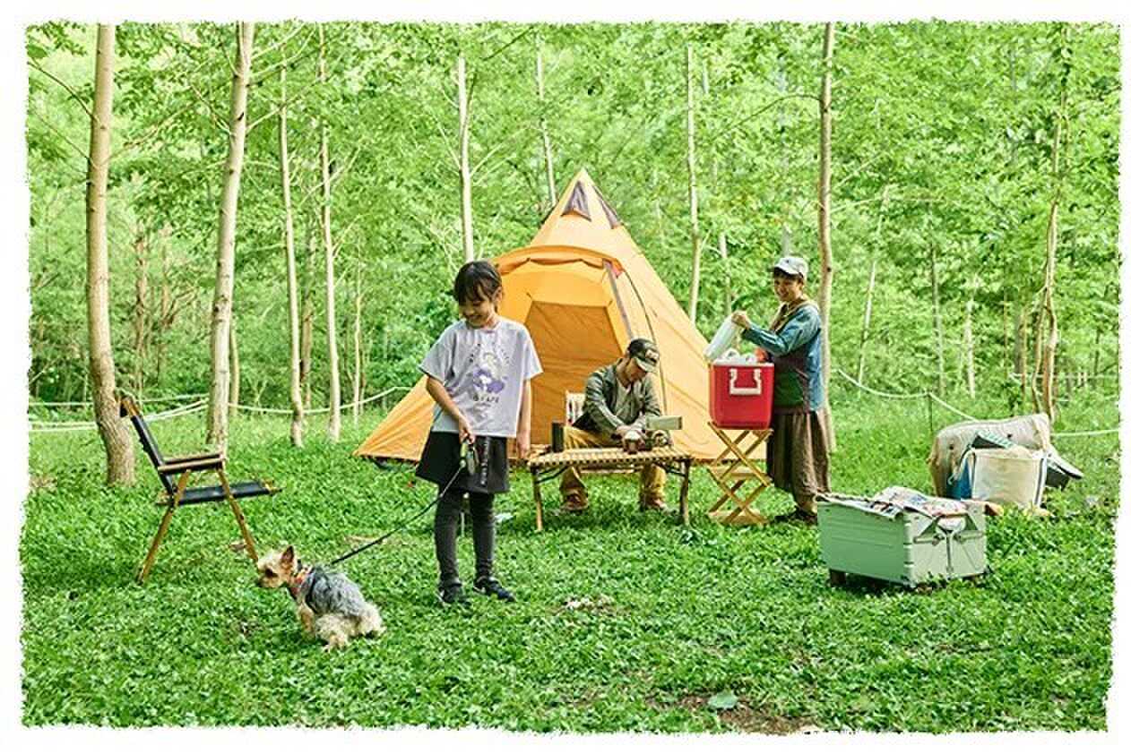 それぞれのキャンプエリアは棚田の様になっているため、プライベート感を感じられるようになっております!そのためファミリーキャンパーとソロキャンパーが、同じキャンプ場でストレスなく一緒にキャンプを楽しんでいただけます♪