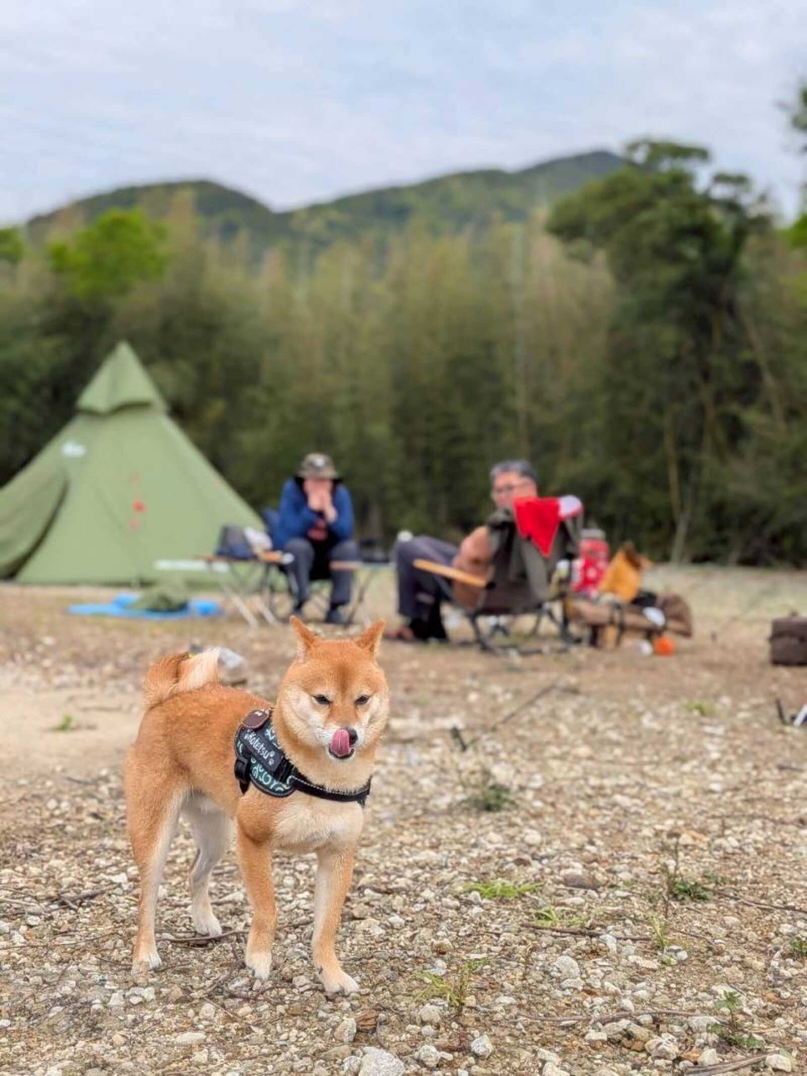 Bois!CampingFieldの写真 4枚目