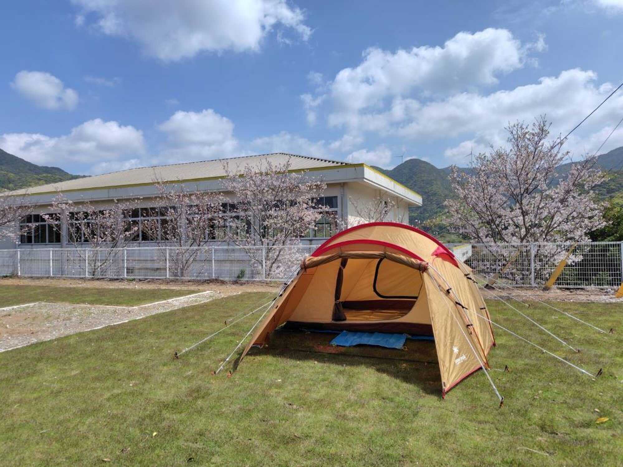 春は桜をバックにお花見キャンプ♪(山側6・7サイト)