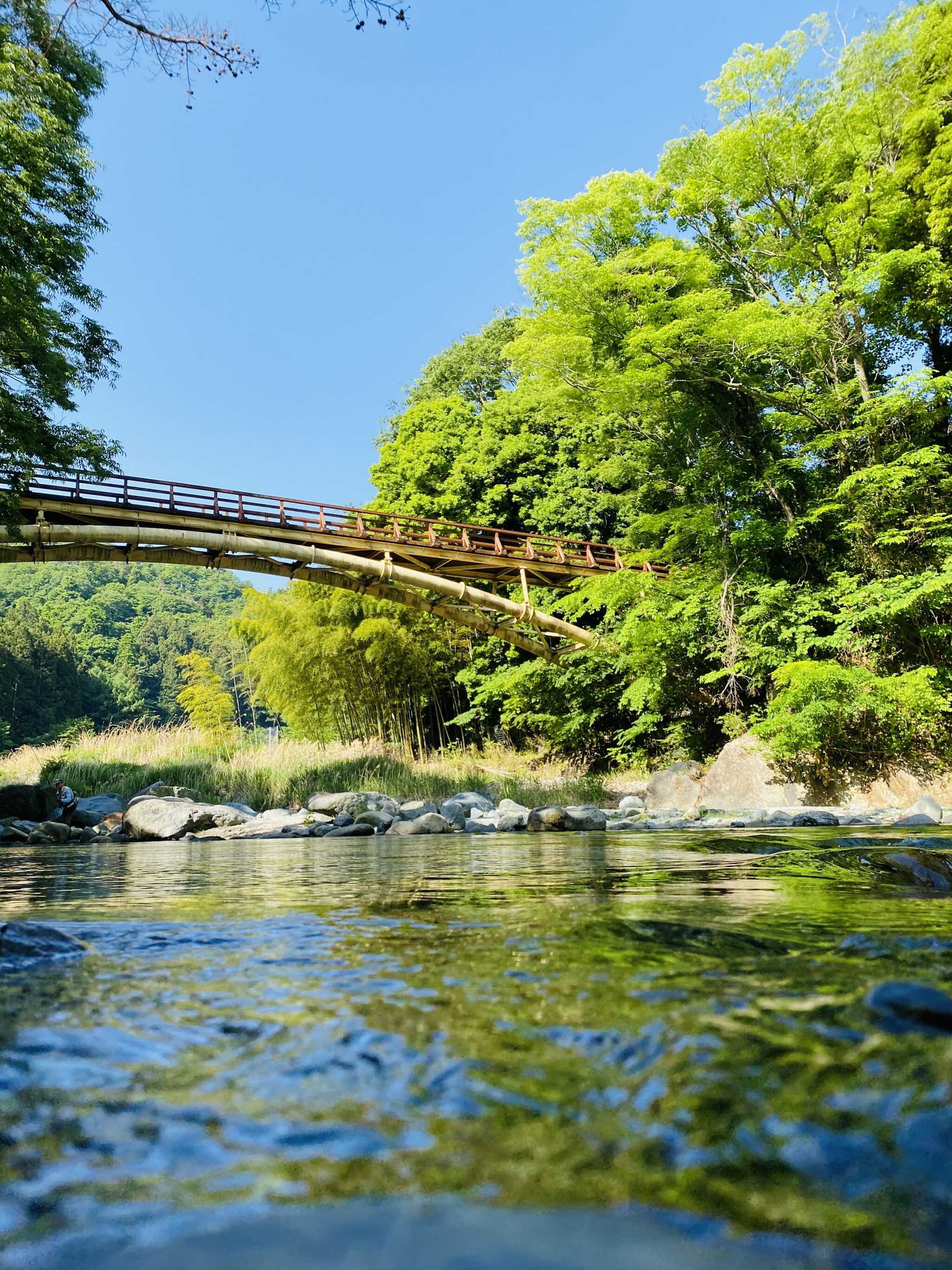 水源の森 キャンプ·ランドの写真 4枚目