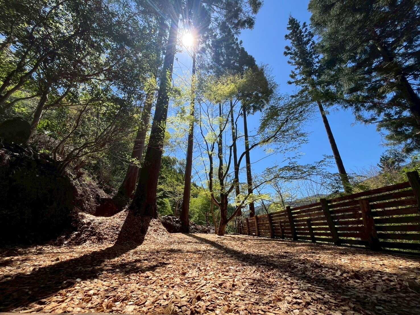 Little Grove 浅間坂