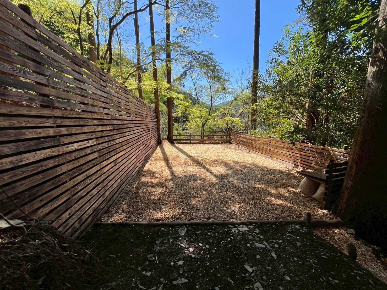 Little Grove 浅間坂