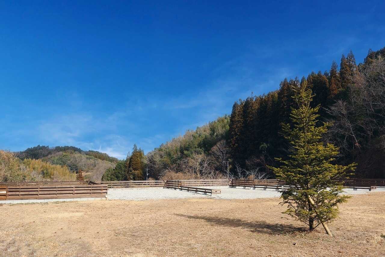 Tähkä(タフカ)キャンプ場の写真 1枚目
