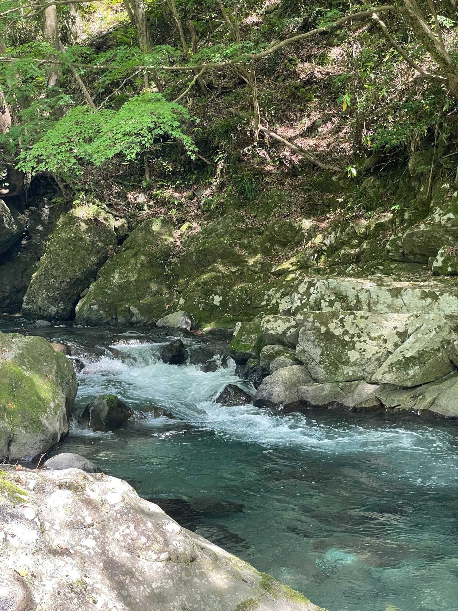 ForestBlissCamp~吊り橋キャンプ場~の写真 3枚目