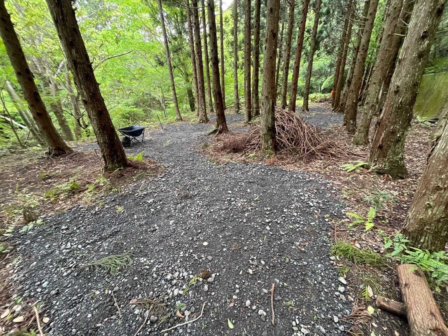 ForestBlissCamp~吊り橋キャンプ場~の写真 4枚目
