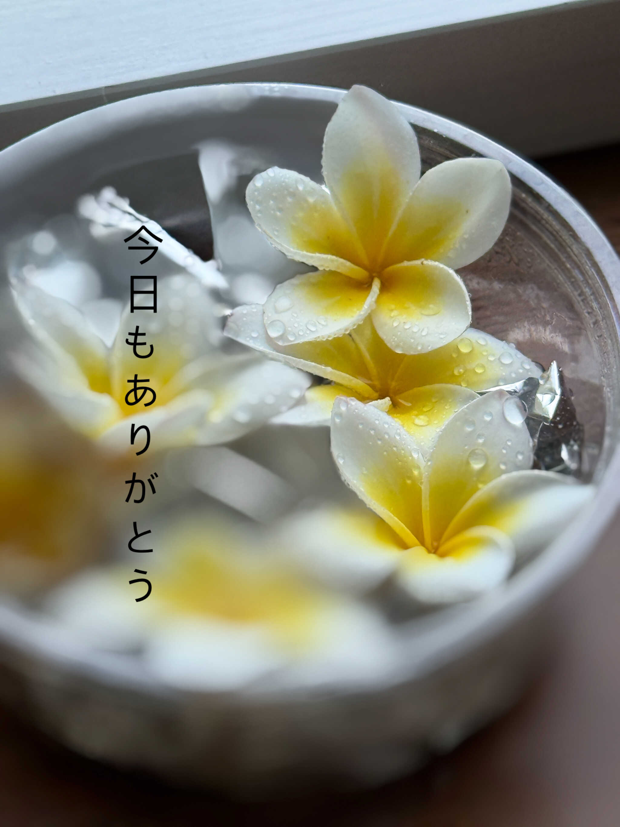 ハクトベースベース長