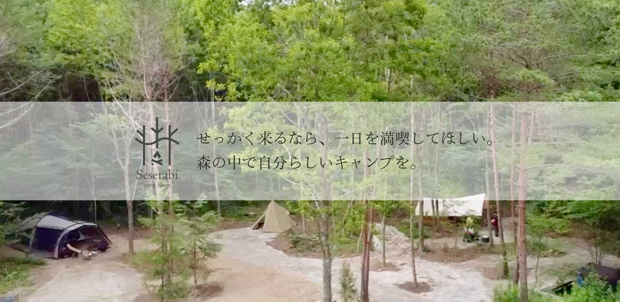 Seserabi camp forest