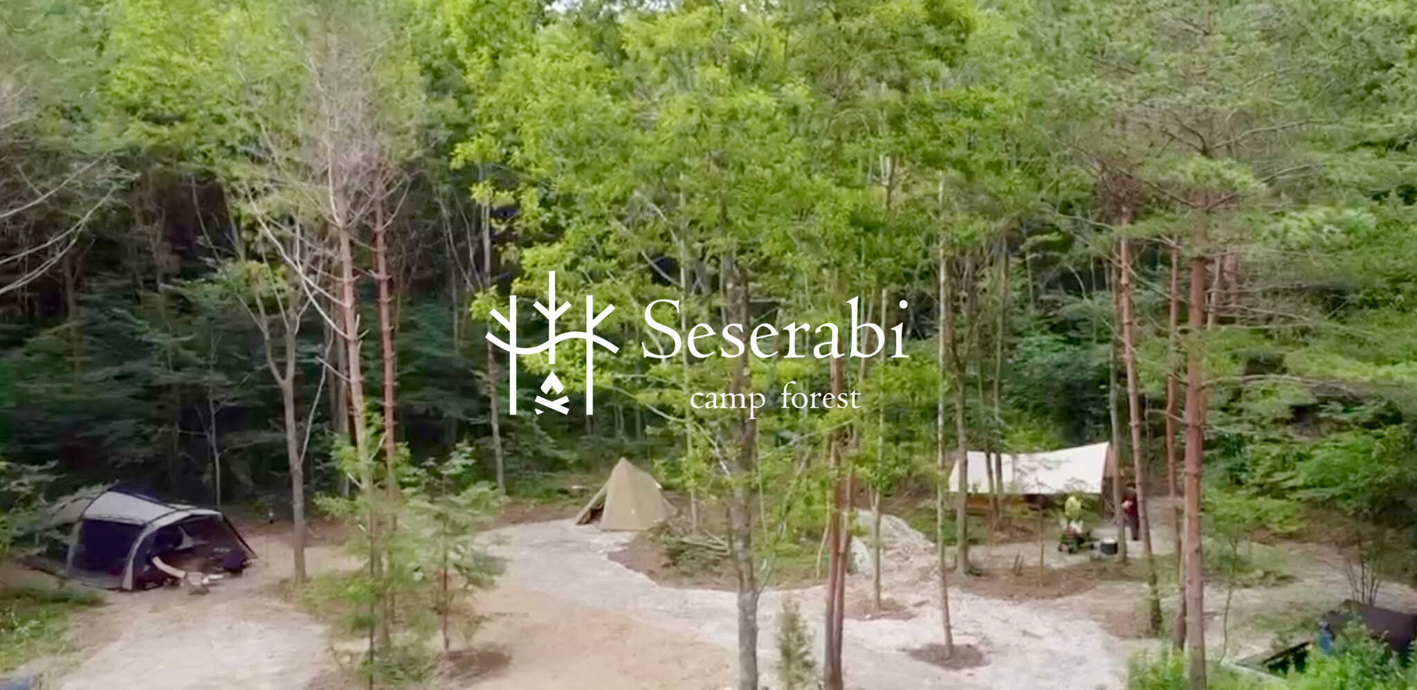 Seserabi camp forest