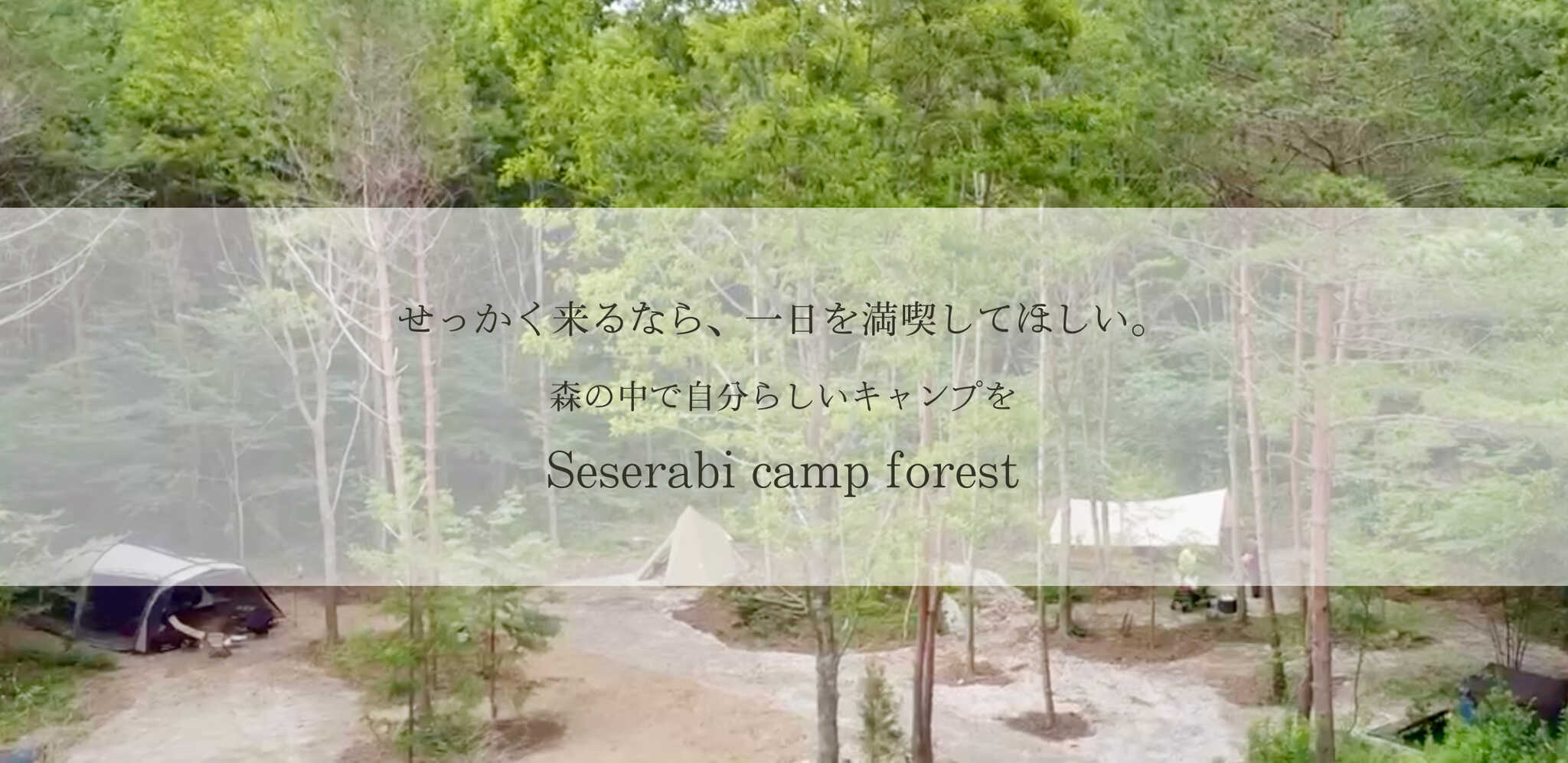 Seserabi camp forestの写真 1枚目