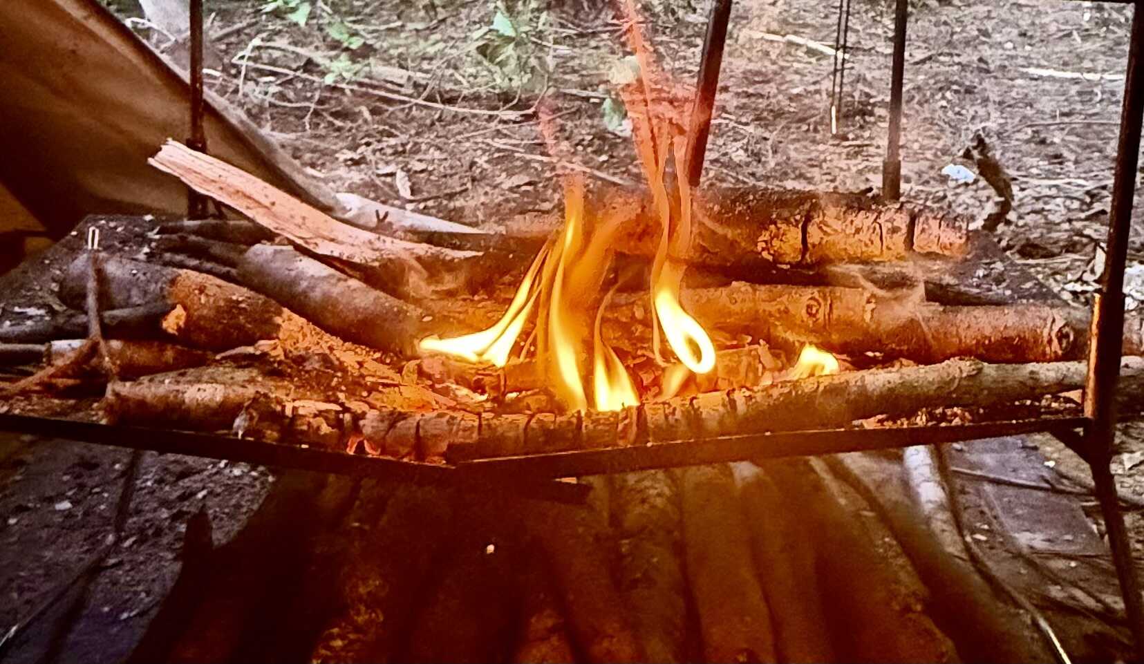 Seserabi camp forestの写真 3枚目