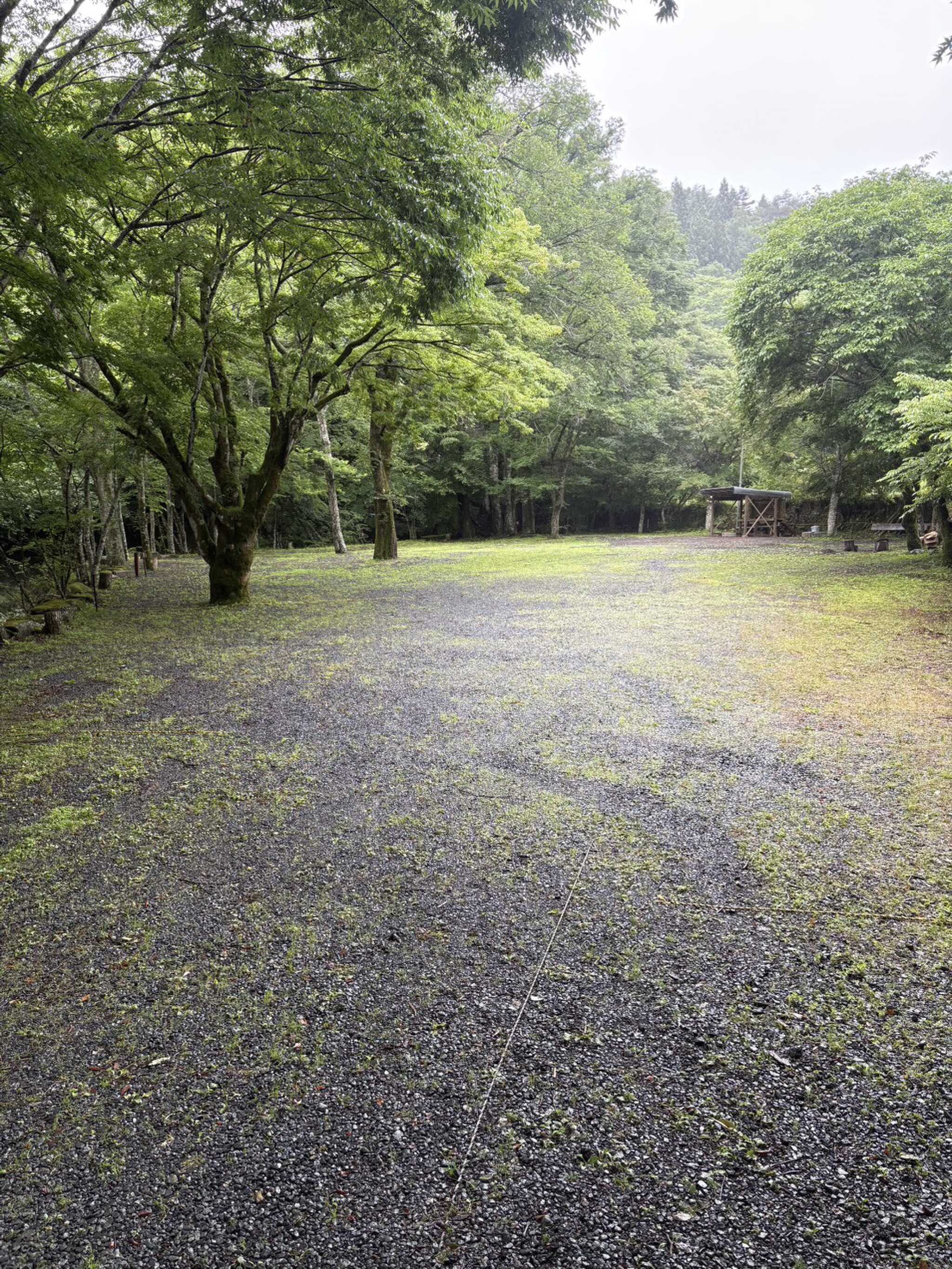 道志川キャンプ場
