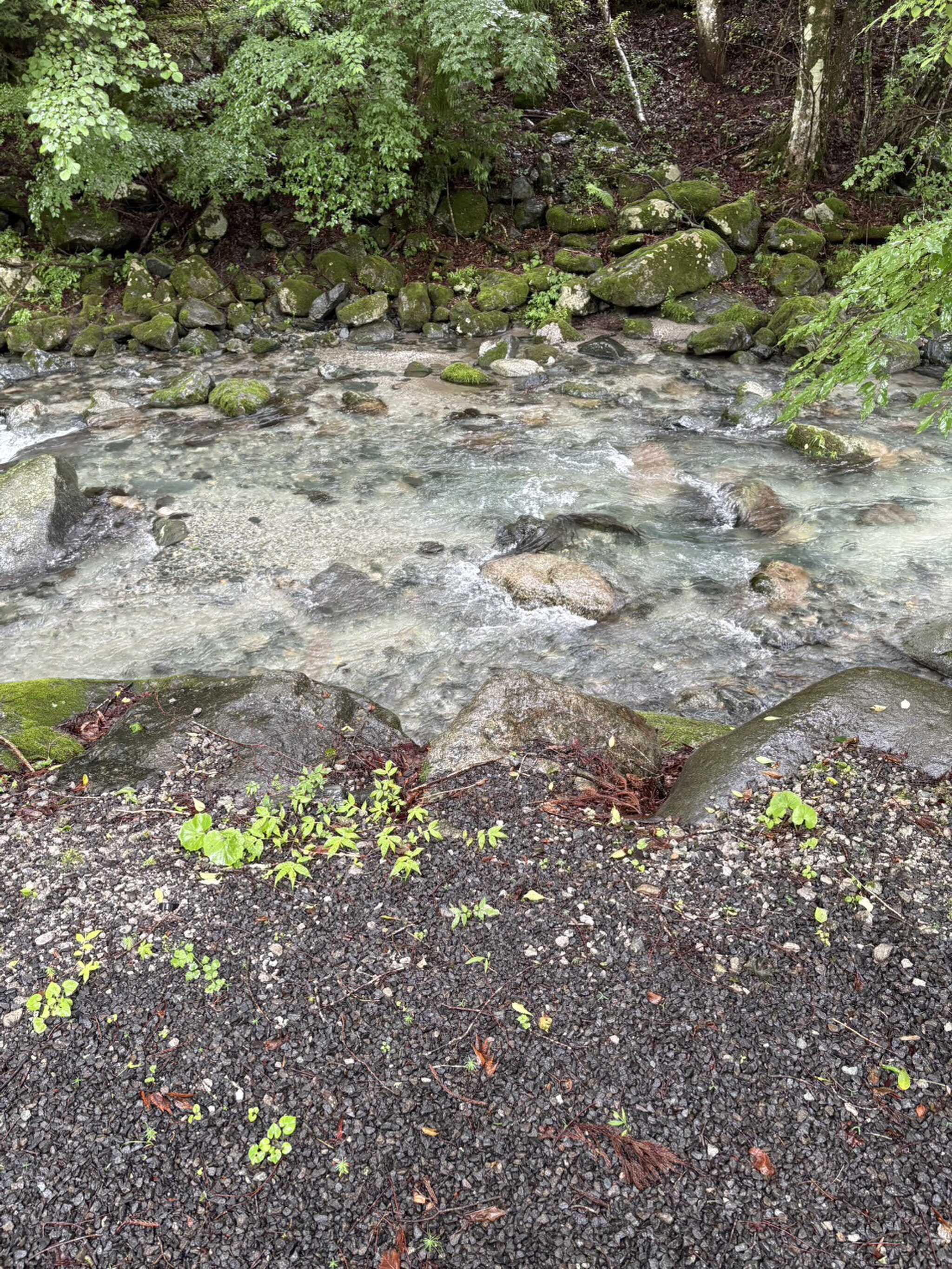 道志川キャンプ場