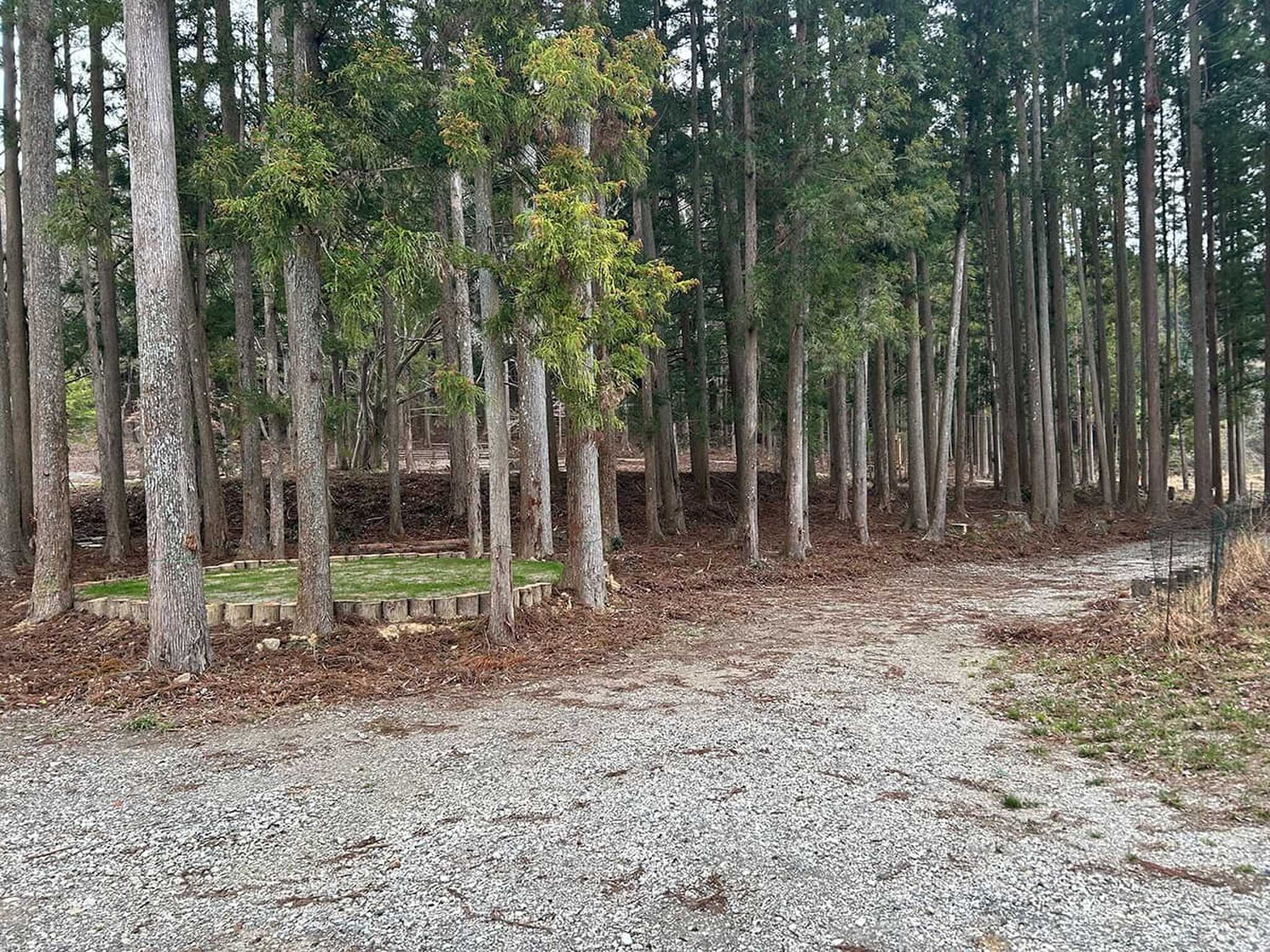 キャンプすがり2 Riverside Forest(リバーサイドフォレスト)の写真 4枚目