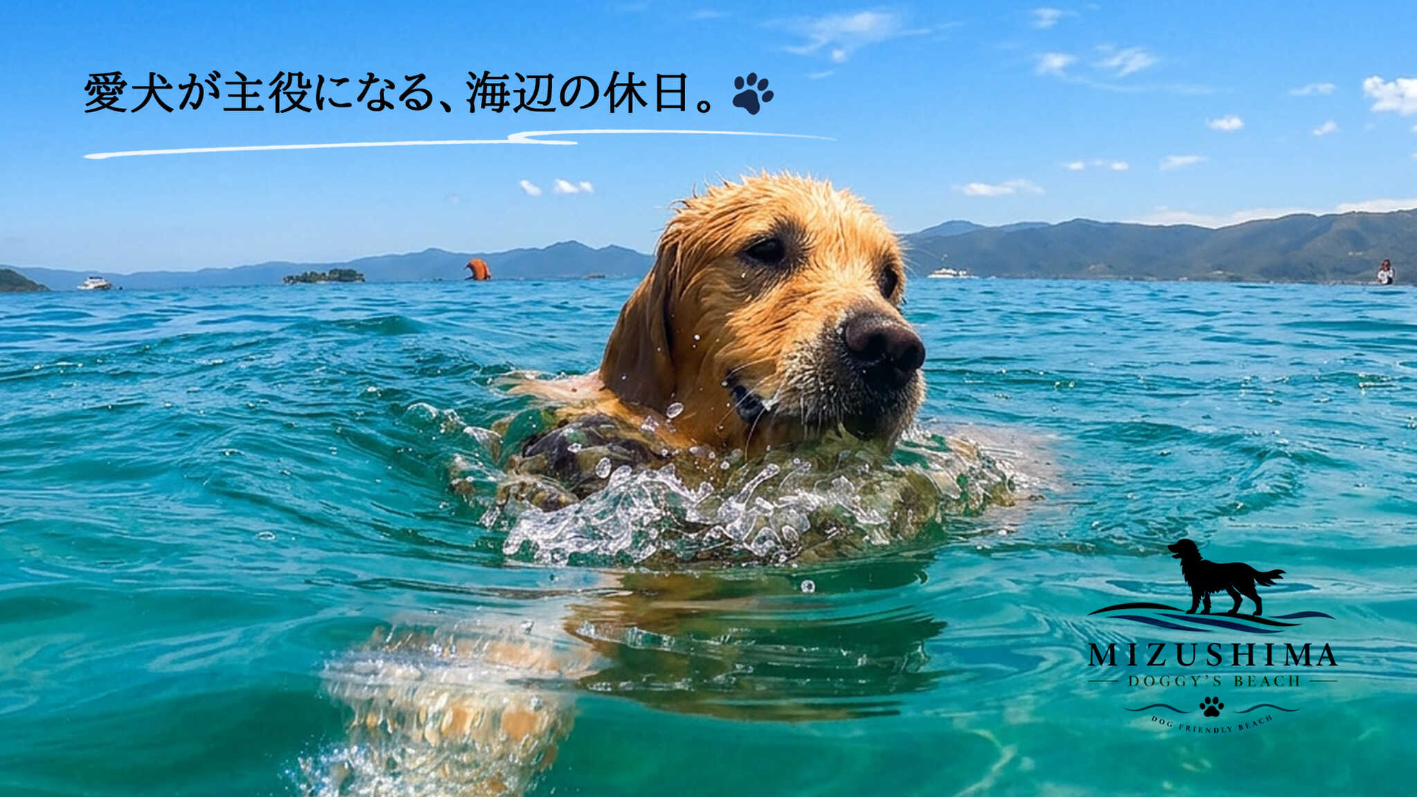 水島ドギーズビーチ