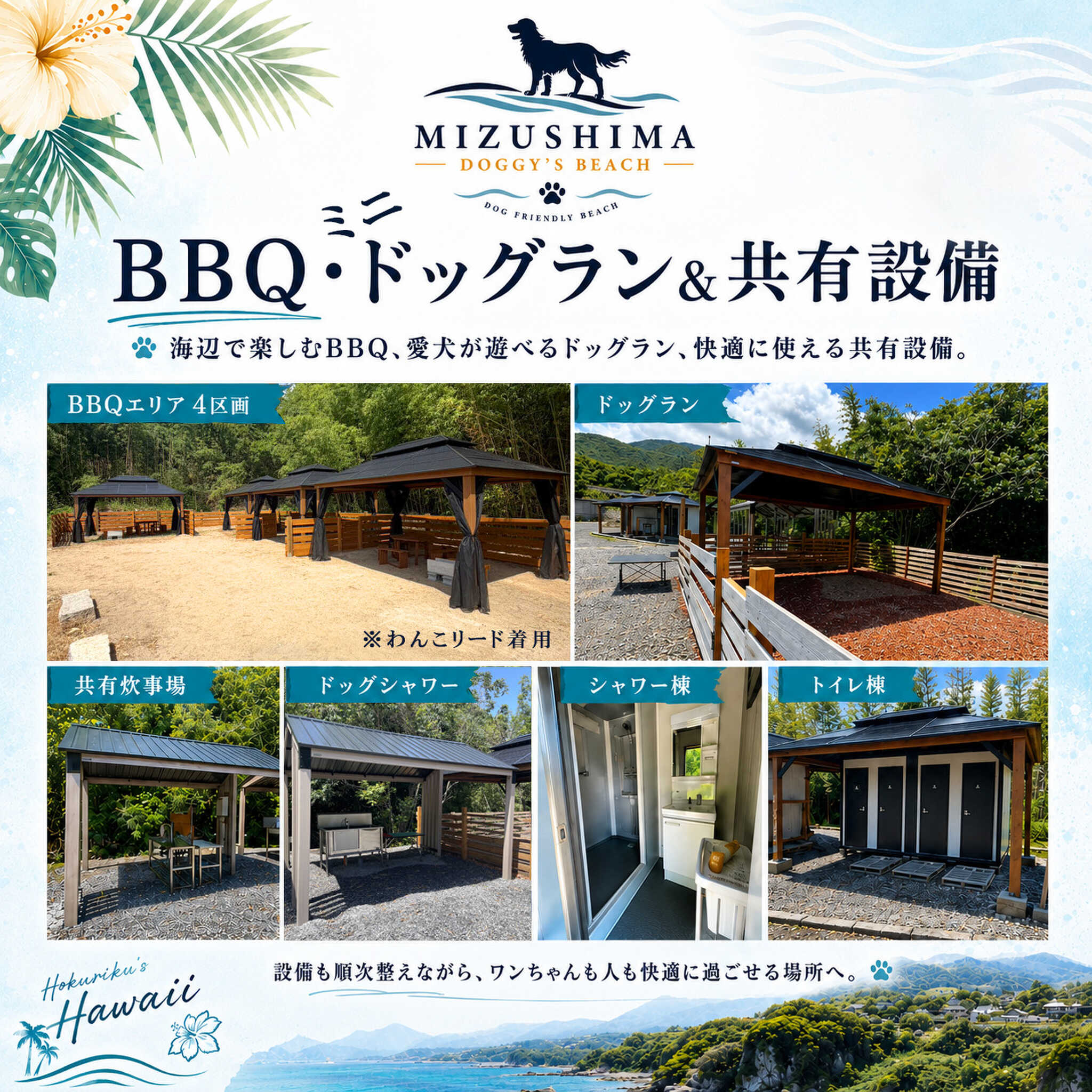 水島ドギーズビーチの写真 3枚目