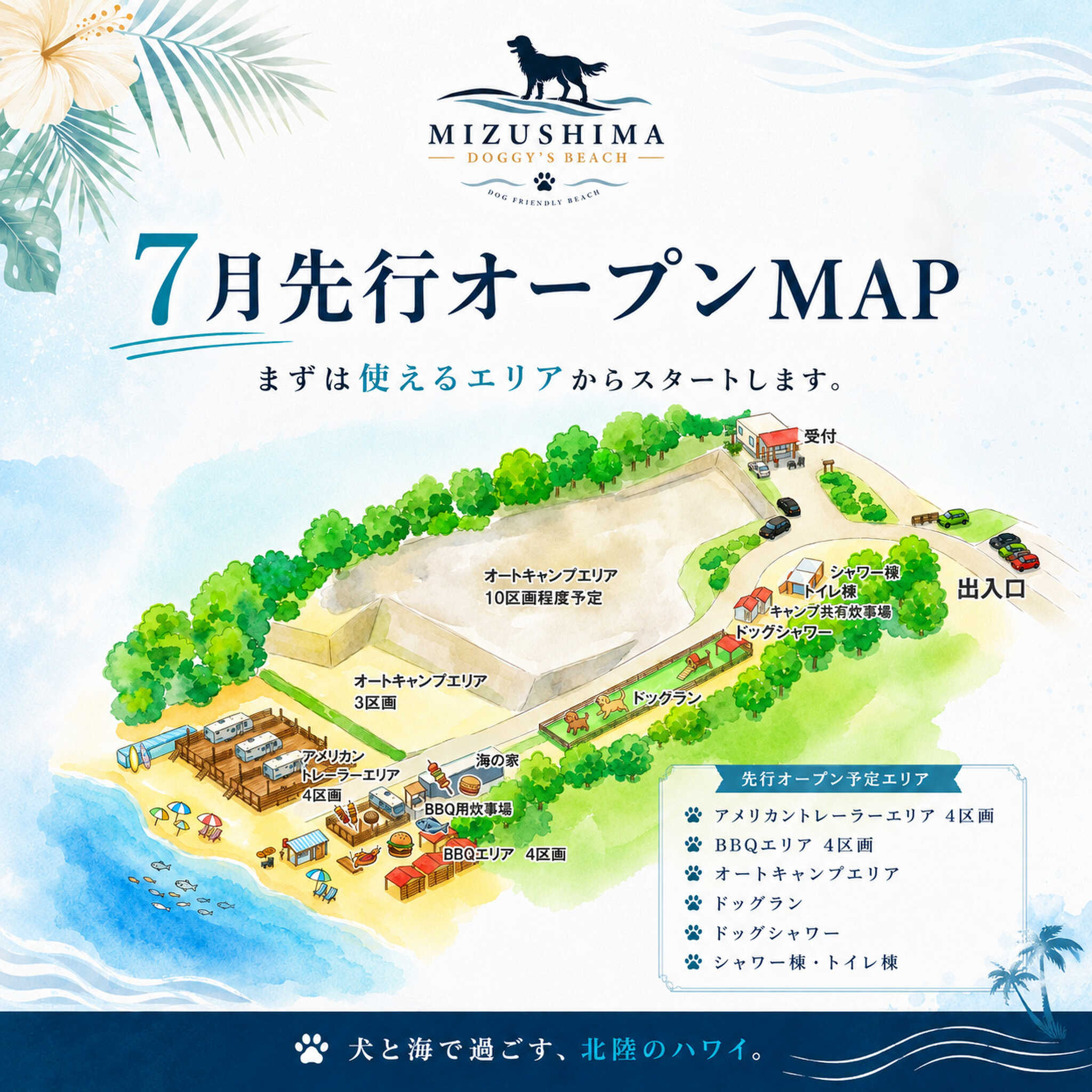 水島ドギーズビーチの写真 4枚目