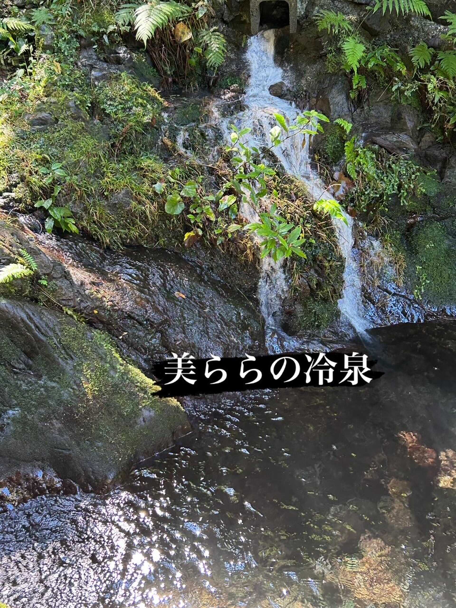 美ららの森