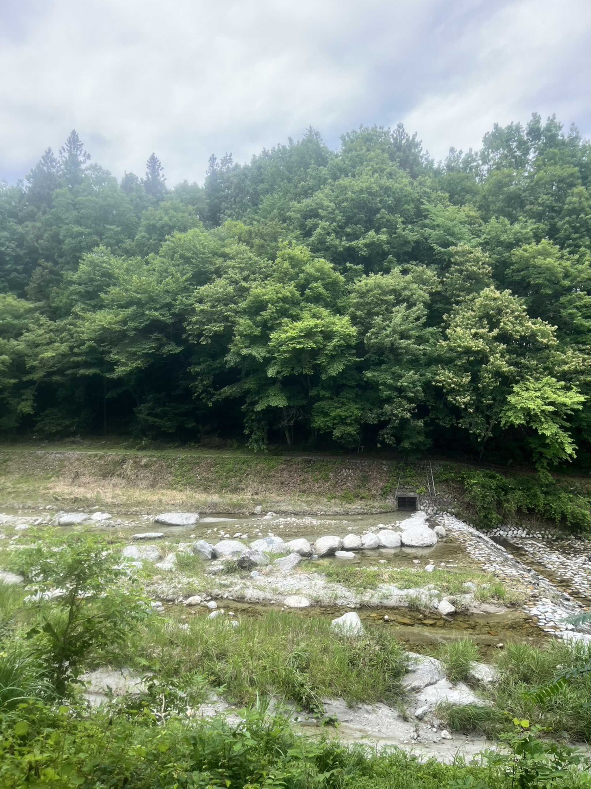 Yamato Kawatoの写真 1枚目
