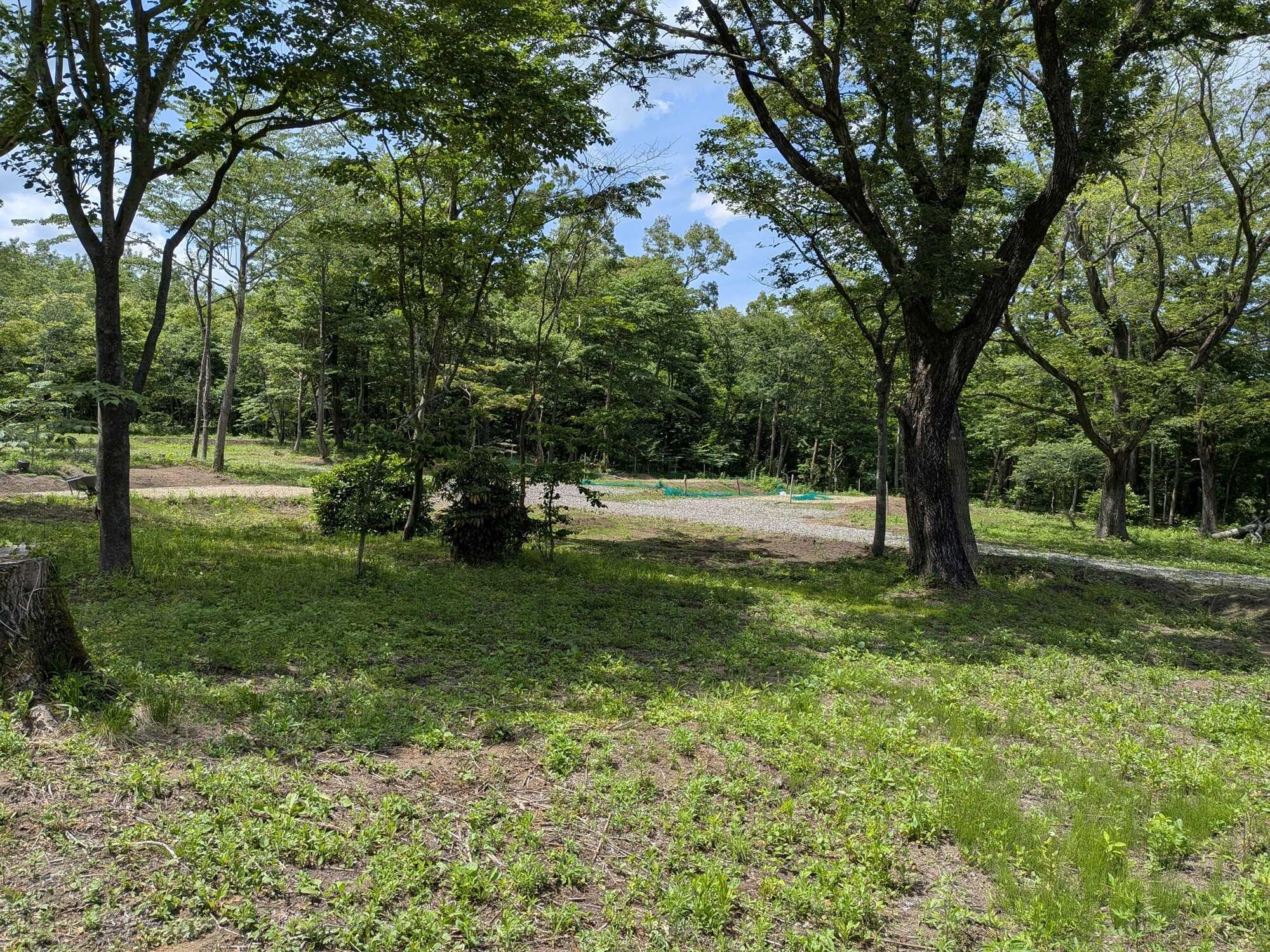 蔵王ティンバーキャンプ場