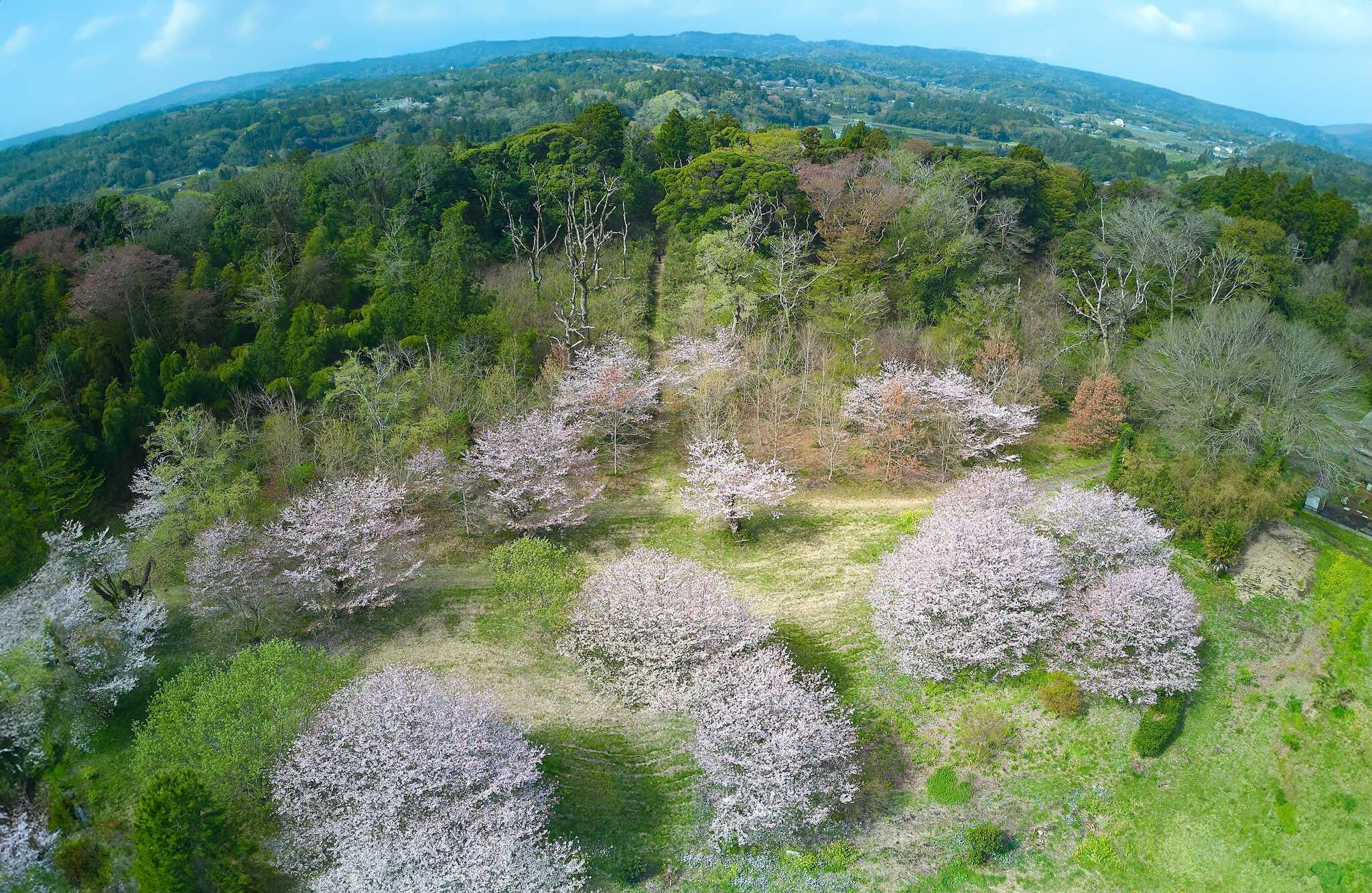 TSURUMAI CAMP PARK(ツルマイ キャンプ パーク)の写真 2枚目