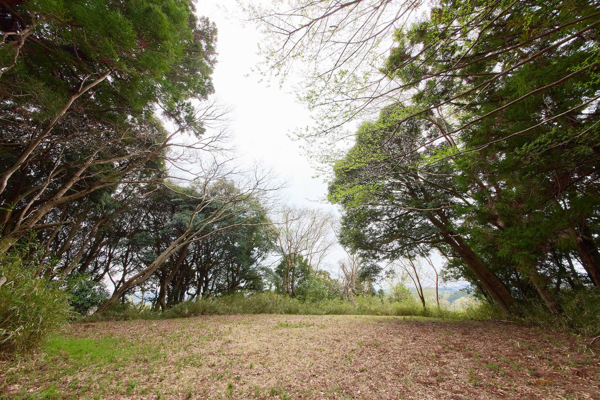 TSURUMAI CAMP PARK(ツルマイ キャンプ パーク)の写真 3枚目