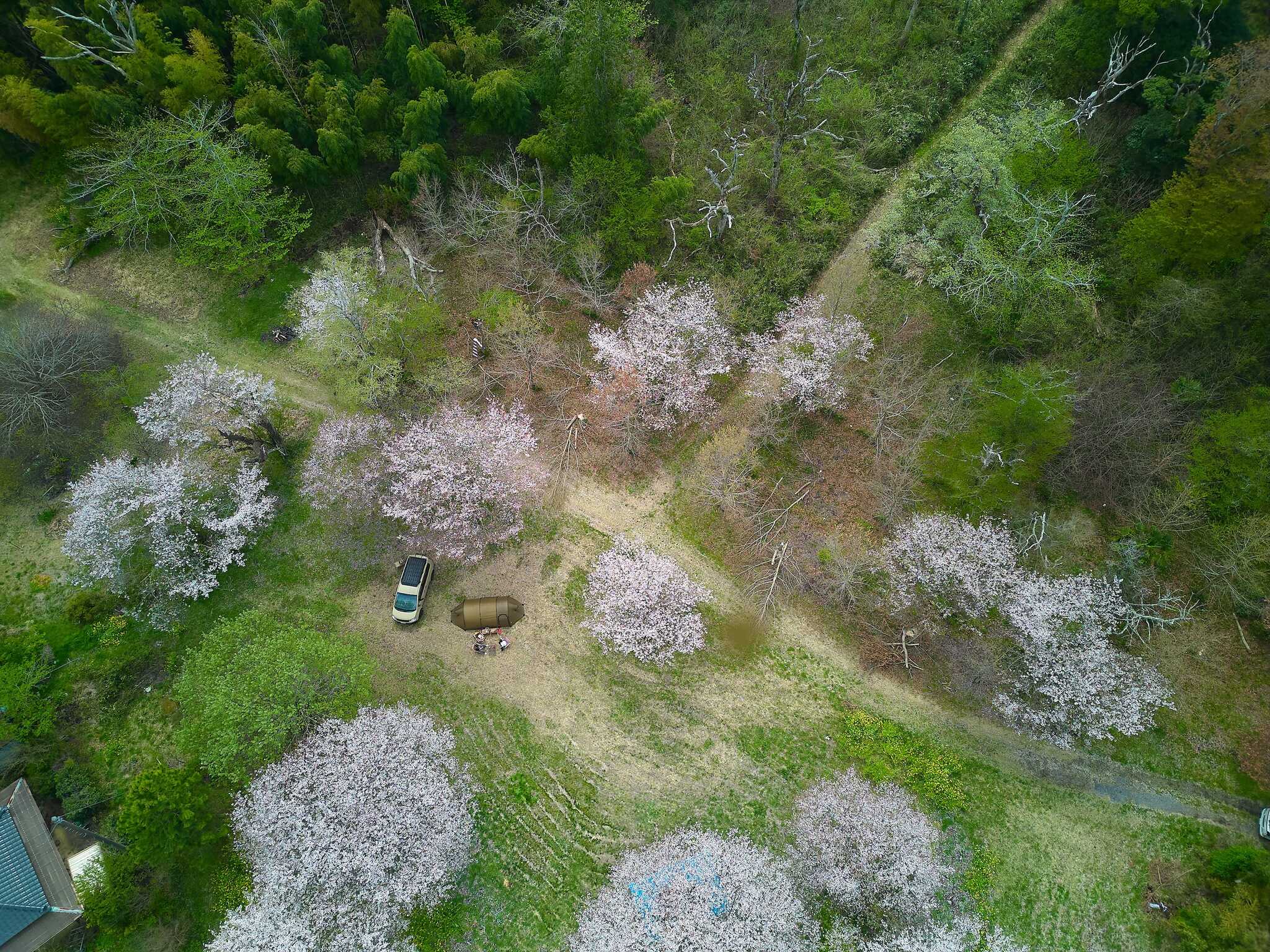 20,000㎡超の広大な土地に、樹齢100年以上の巨大な木々が生い茂ります!高台にあるため眺望も抜群です♪