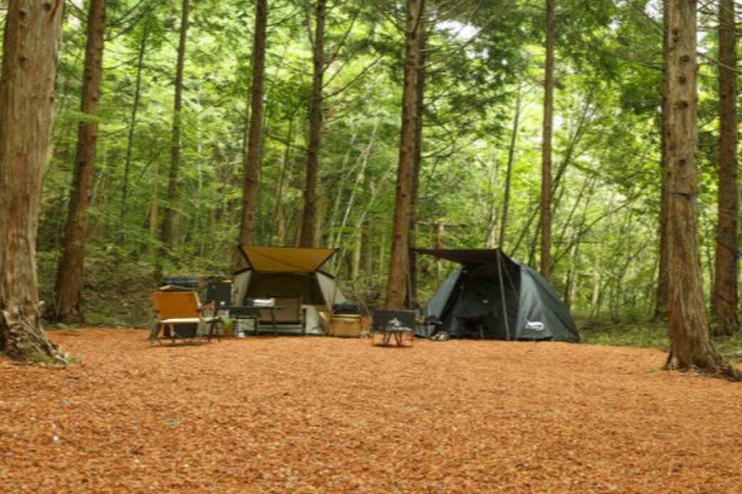 もりどころ sauna &campの写真 1枚目