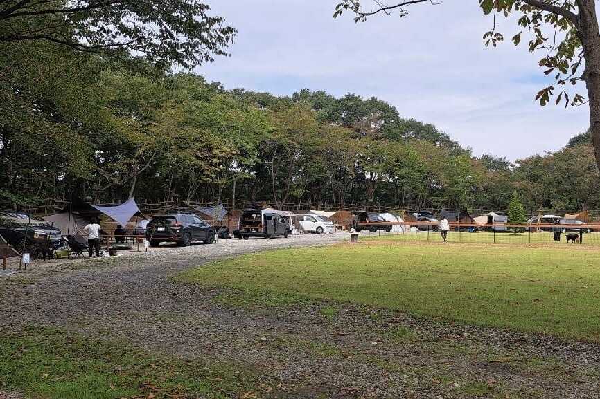 HABILE CAMP FOREST NASUの写真 3枚目