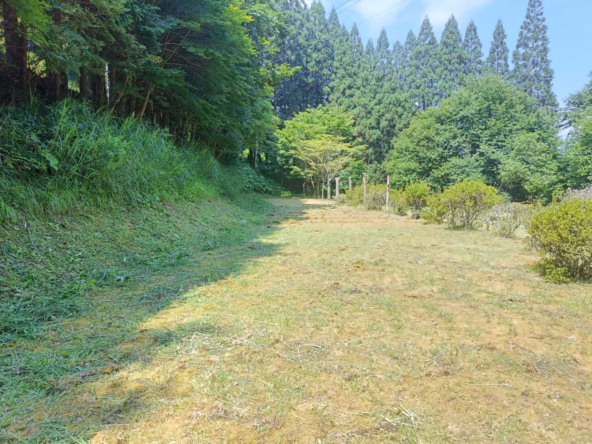 ひるねの森キャンプ場の写真 1枚目