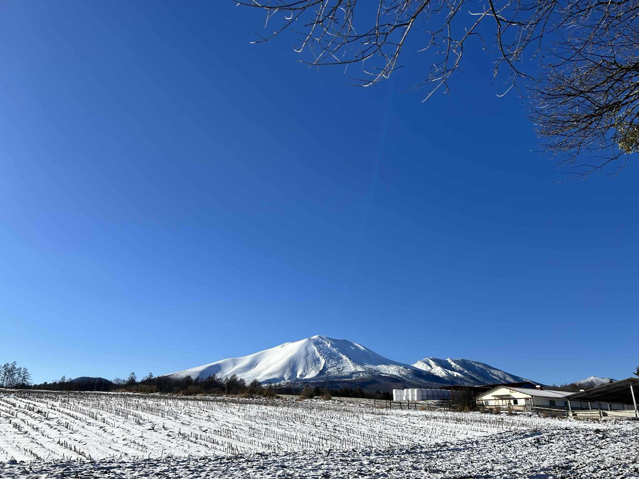 北軽井沢アメリカンフォレスト