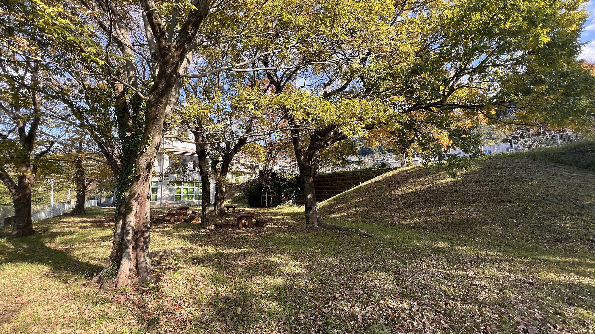 校庭キャンプ OAMA+BASEの写真 4枚目