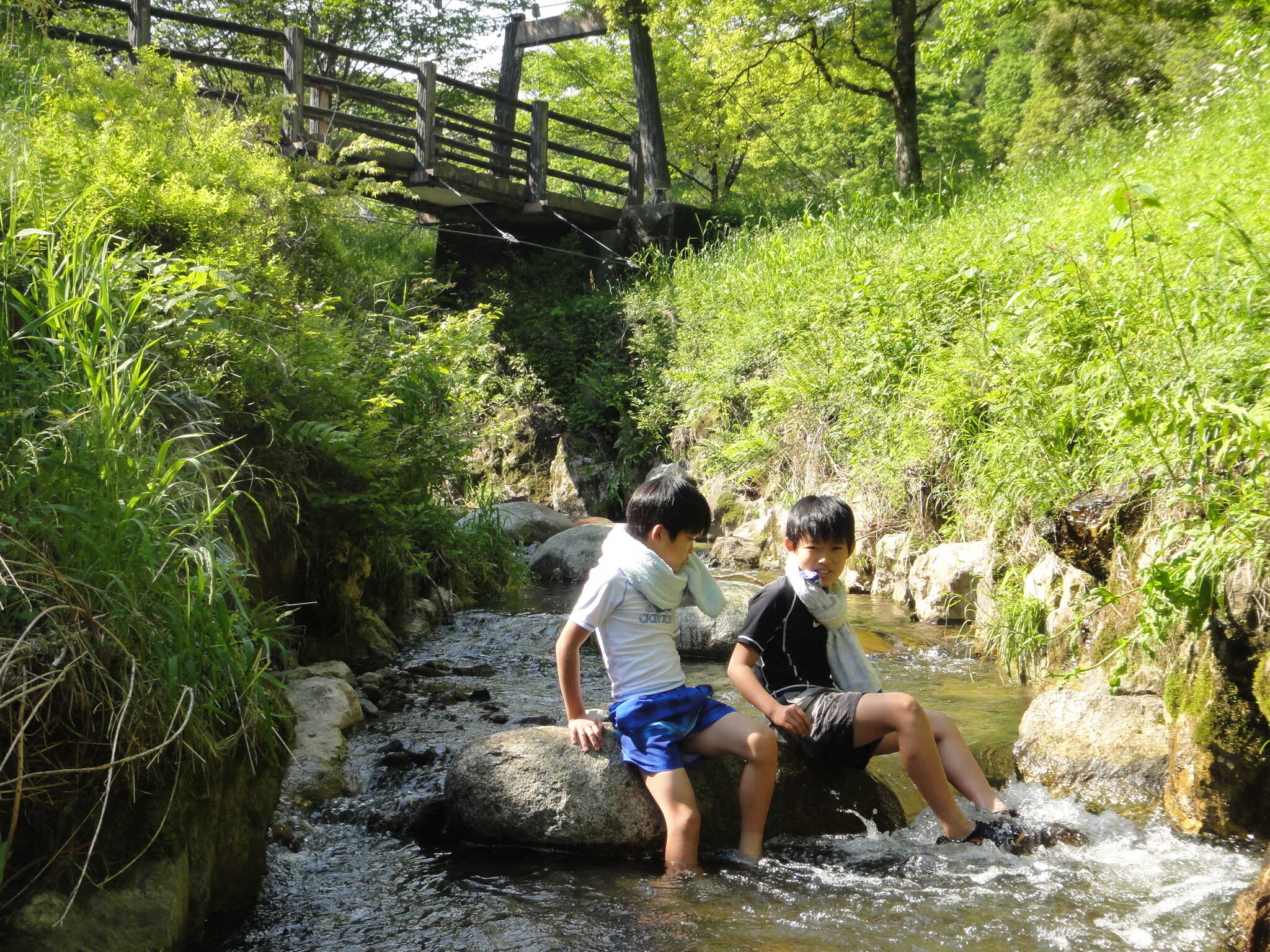 栃木市森林公園出流ふれあいの森の写真 4枚目