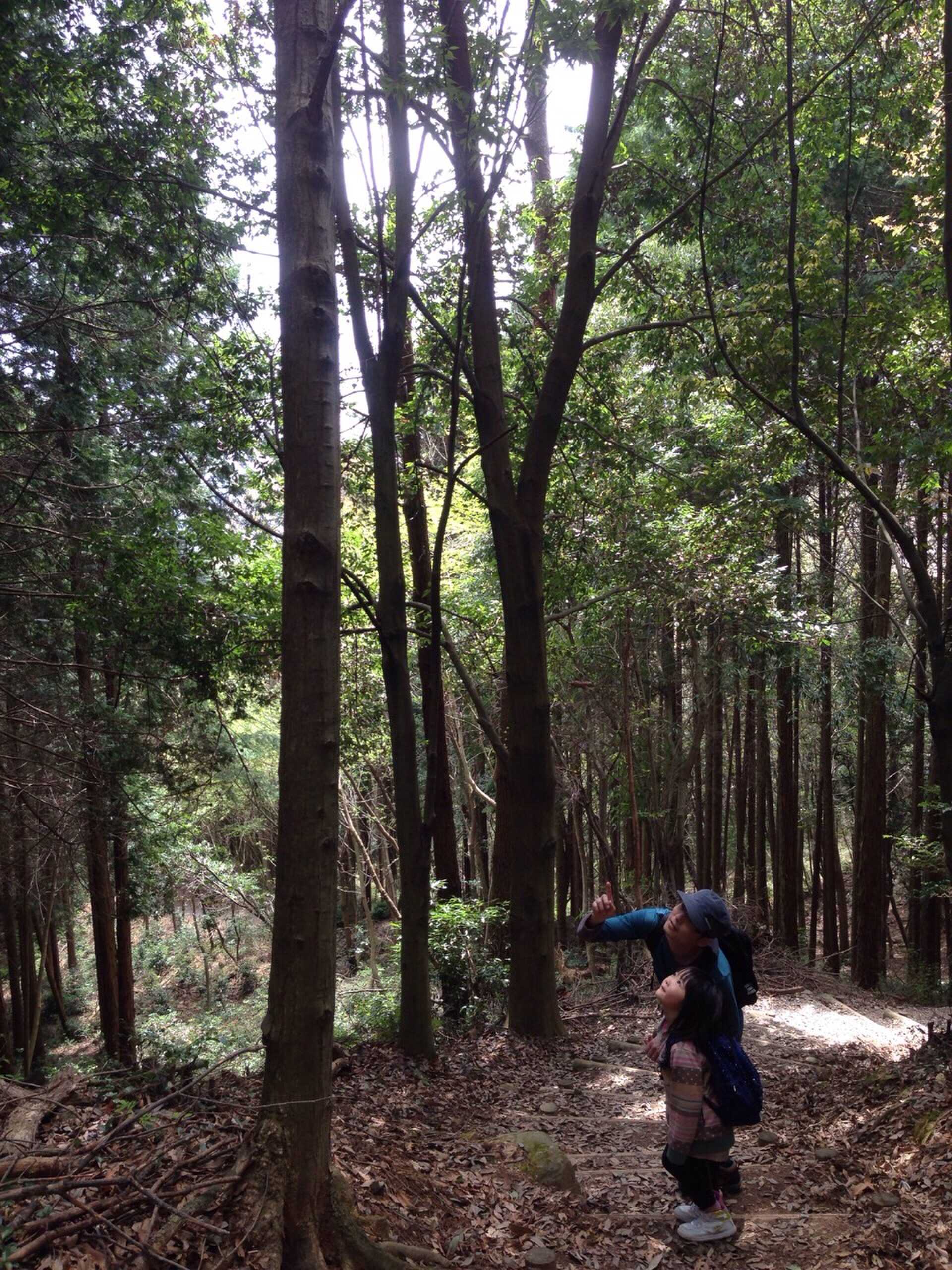 憩いの森公園の写真 5枚目