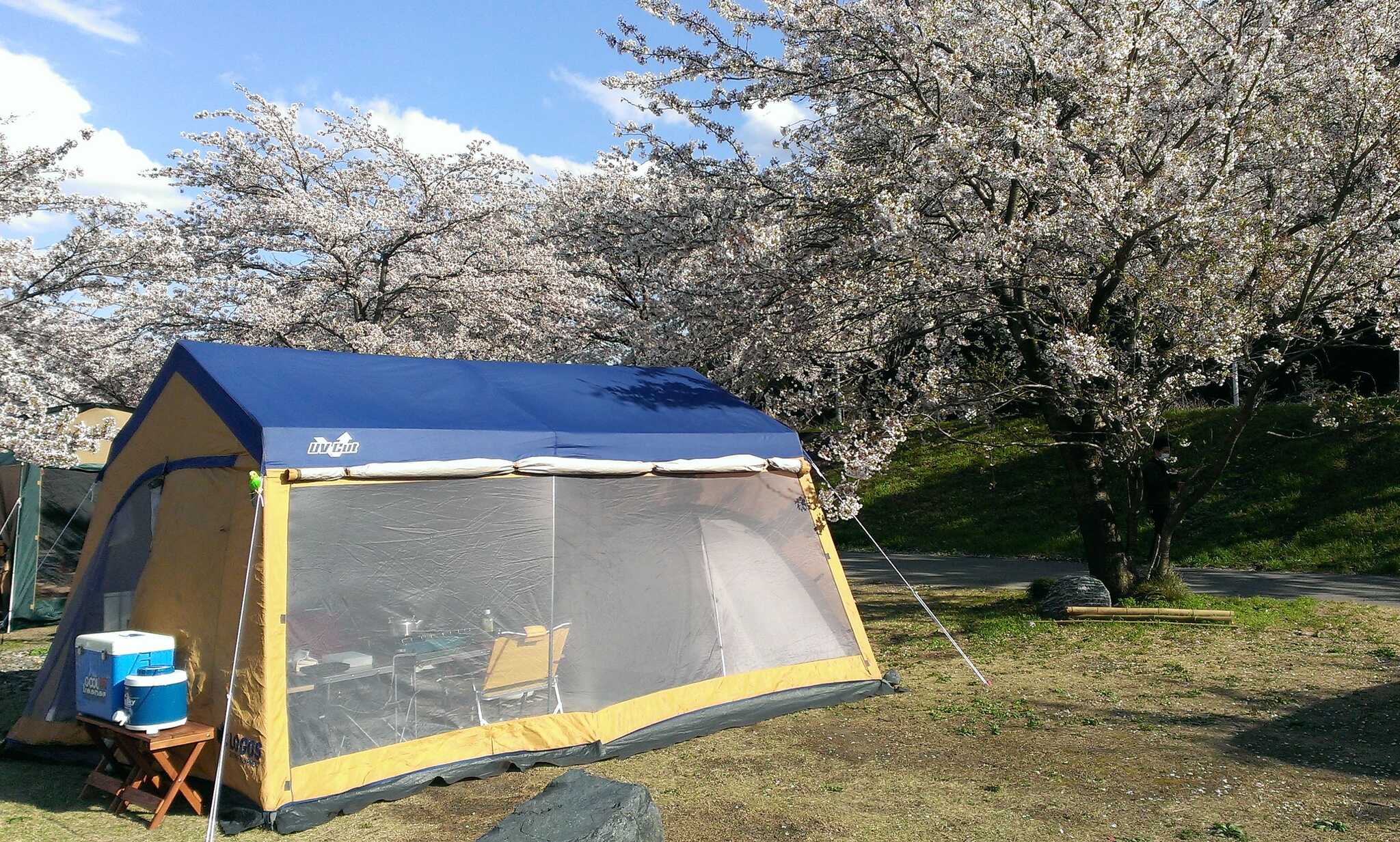 【キャンプ場閉鎖】粕川河川公園(旧:粕川オートキャンプ場)の写真 5枚目