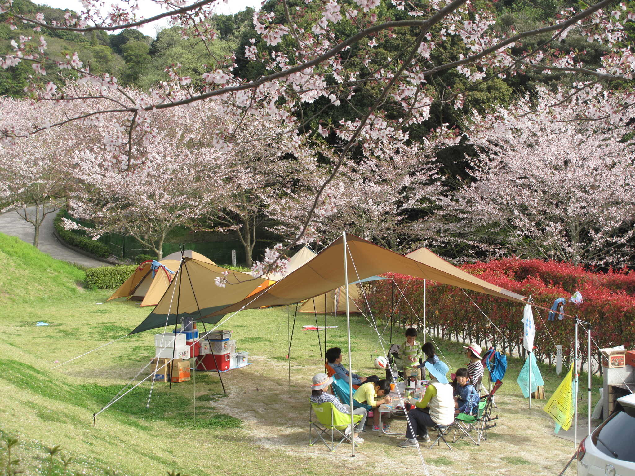 冠山総合公園オートキャンプ場の写真 1枚目