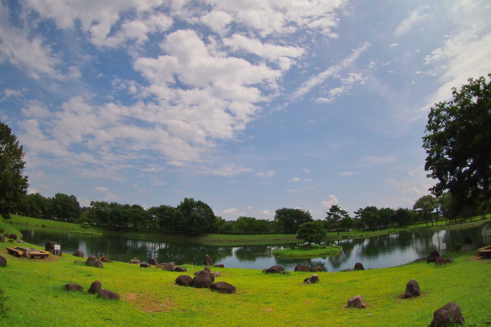 鳥野目河川公園オートキャンプ場の写真 5枚目