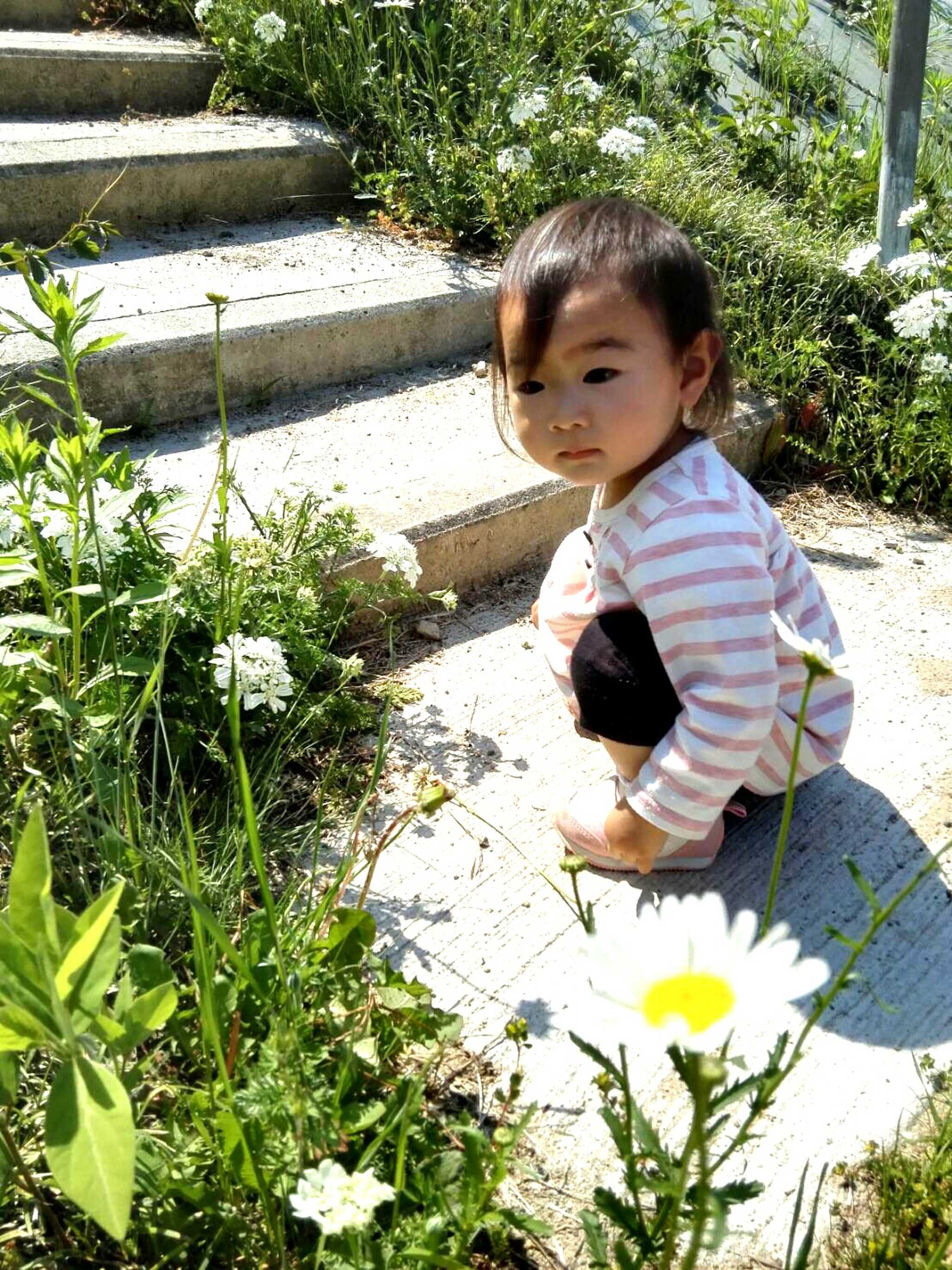 円空の里 なごみ村キャンプ場の写真 2枚目
