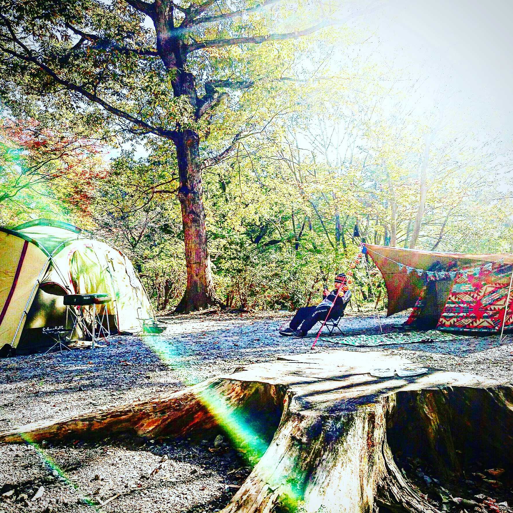 リバーパーク上長瀞オートキャンプ場の写真 4枚目