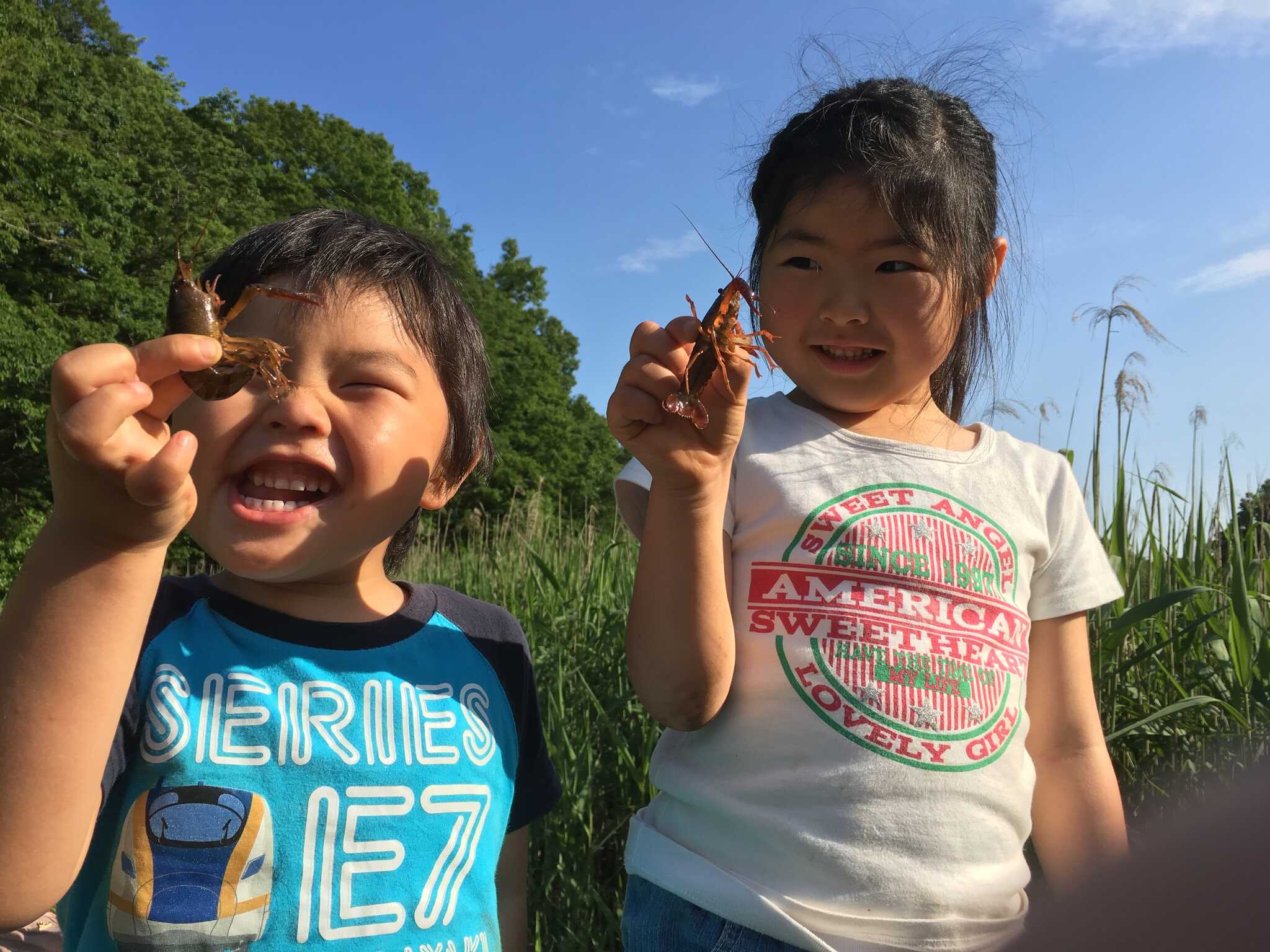 少年自然の家キャンプ場の写真 3枚目