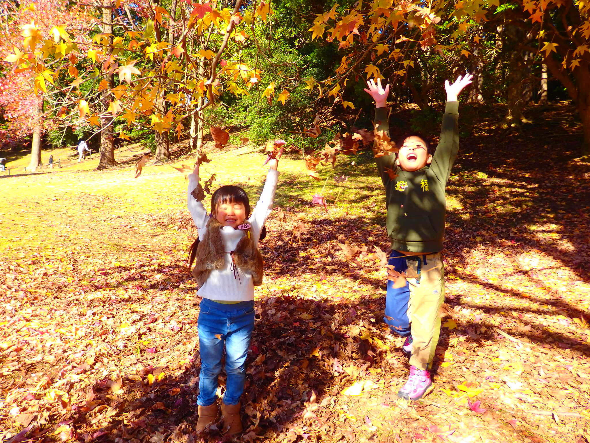 泊まれる公園 INN THE PARKの写真 1枚目