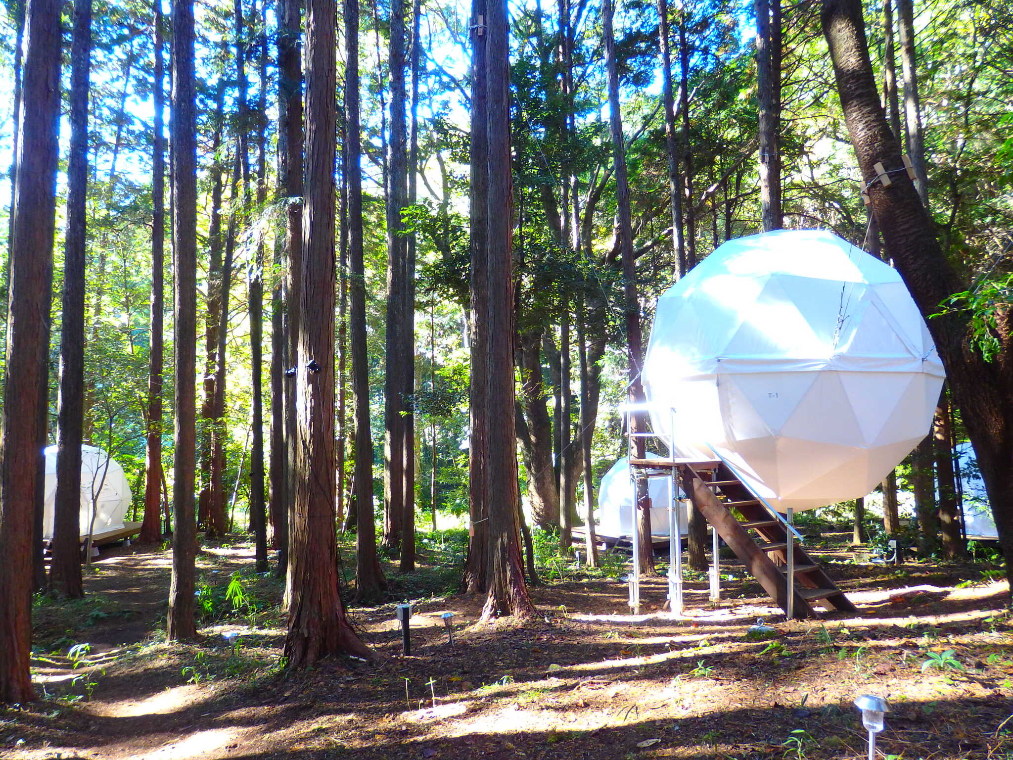 泊まれる公園 INN THE PARKの写真 2枚目