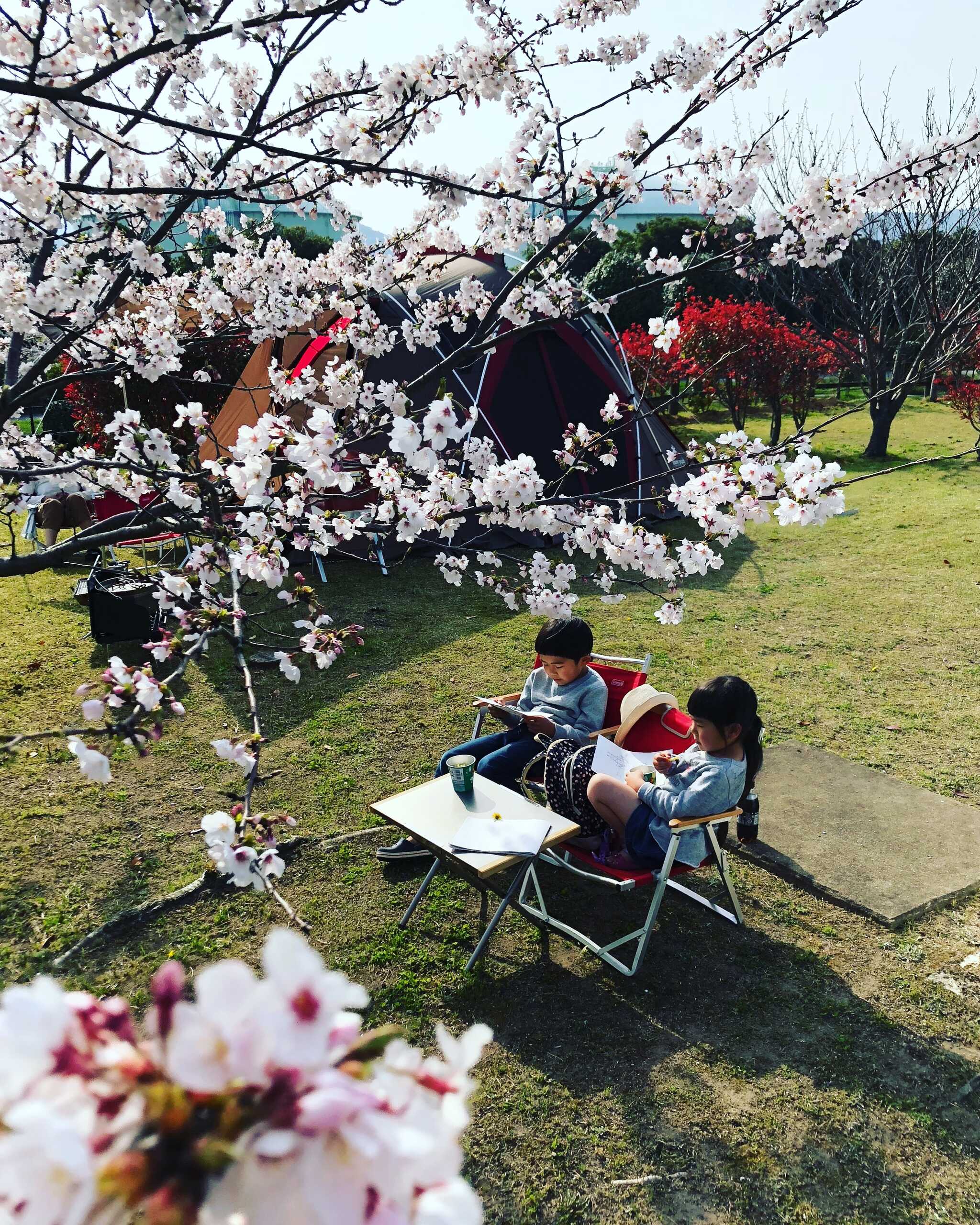 松浦市福島オートキャンプ場の写真 1枚目
