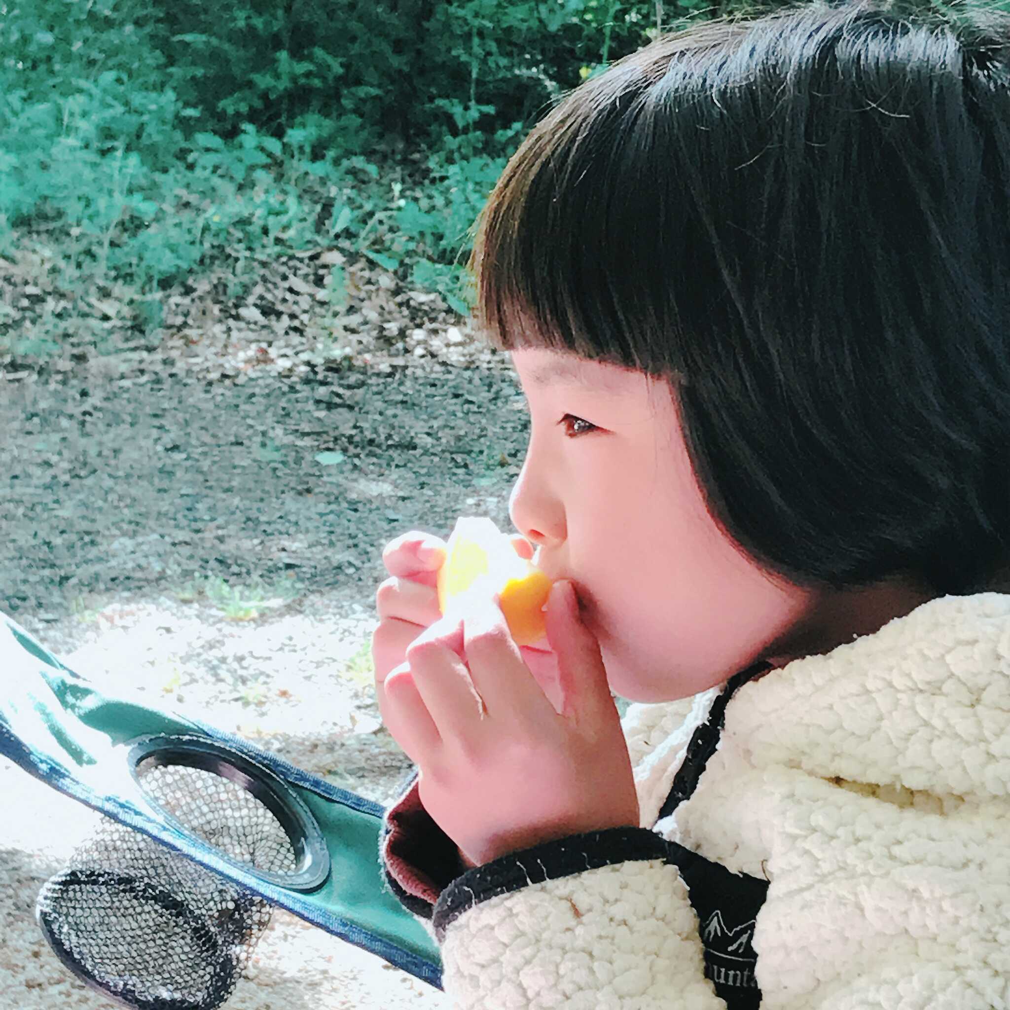 ファミリーオートキャンプ場そうりの写真 5枚目