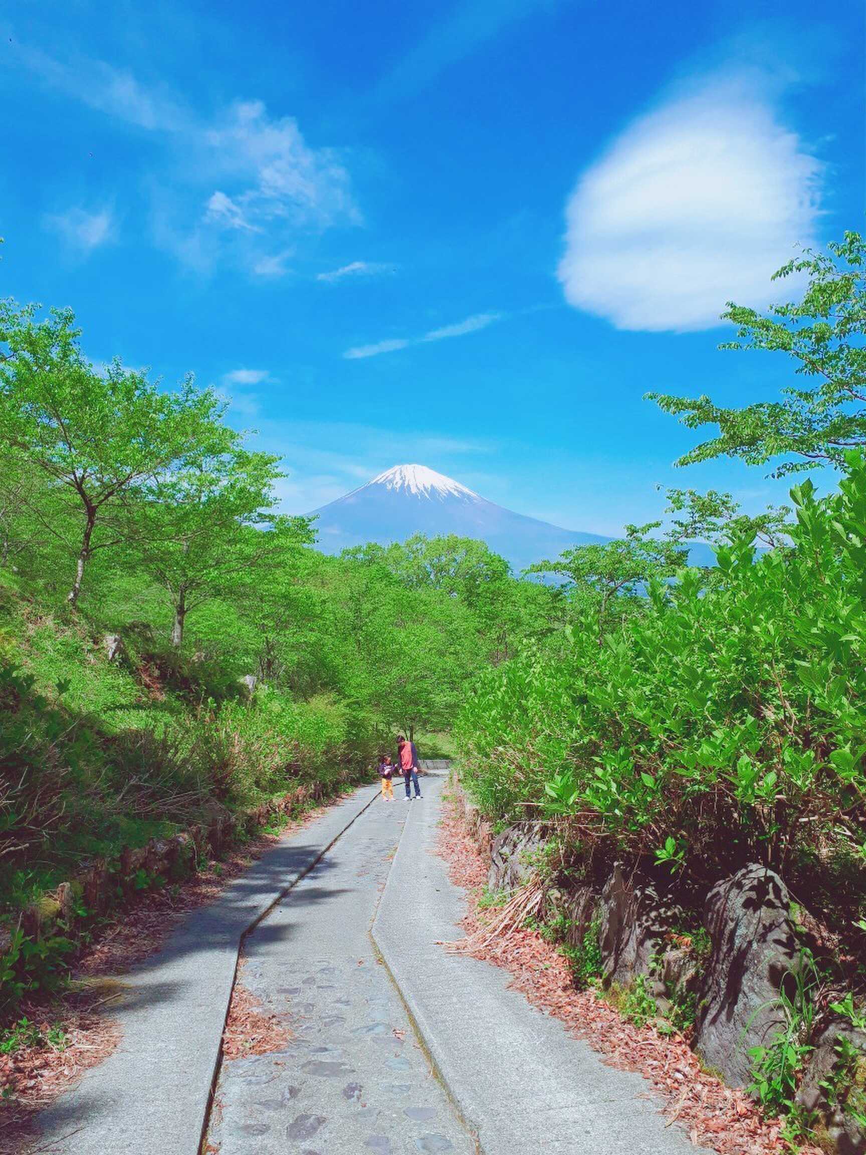 【R1/10現在休止中】乙女の森バンガロー村の写真 2枚目
