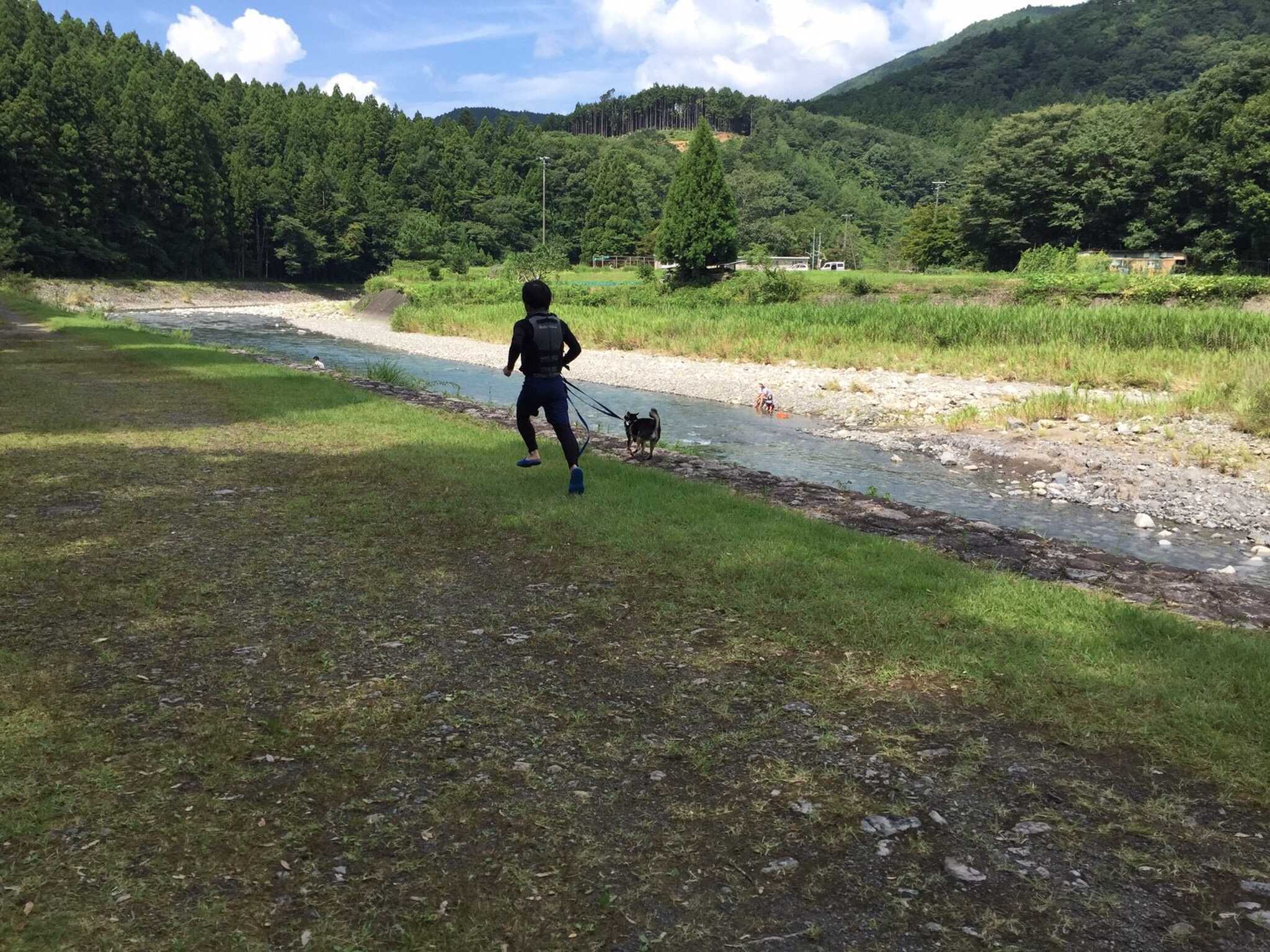 近露オートキャンプ場の写真 1枚目