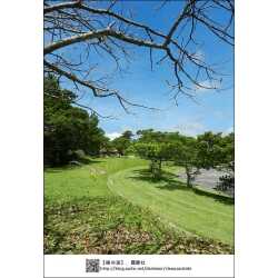 沖縄県 県民の森のユーザー投稿写真 3枚目