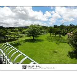 沖縄県 県民の森のユーザー投稿写真 1枚目