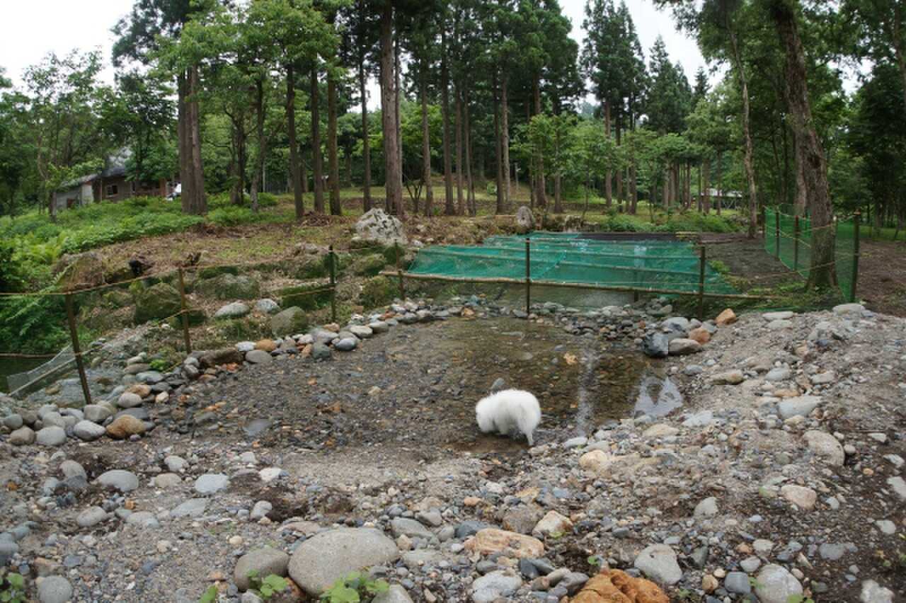 ドッグラン内に沢が流れています