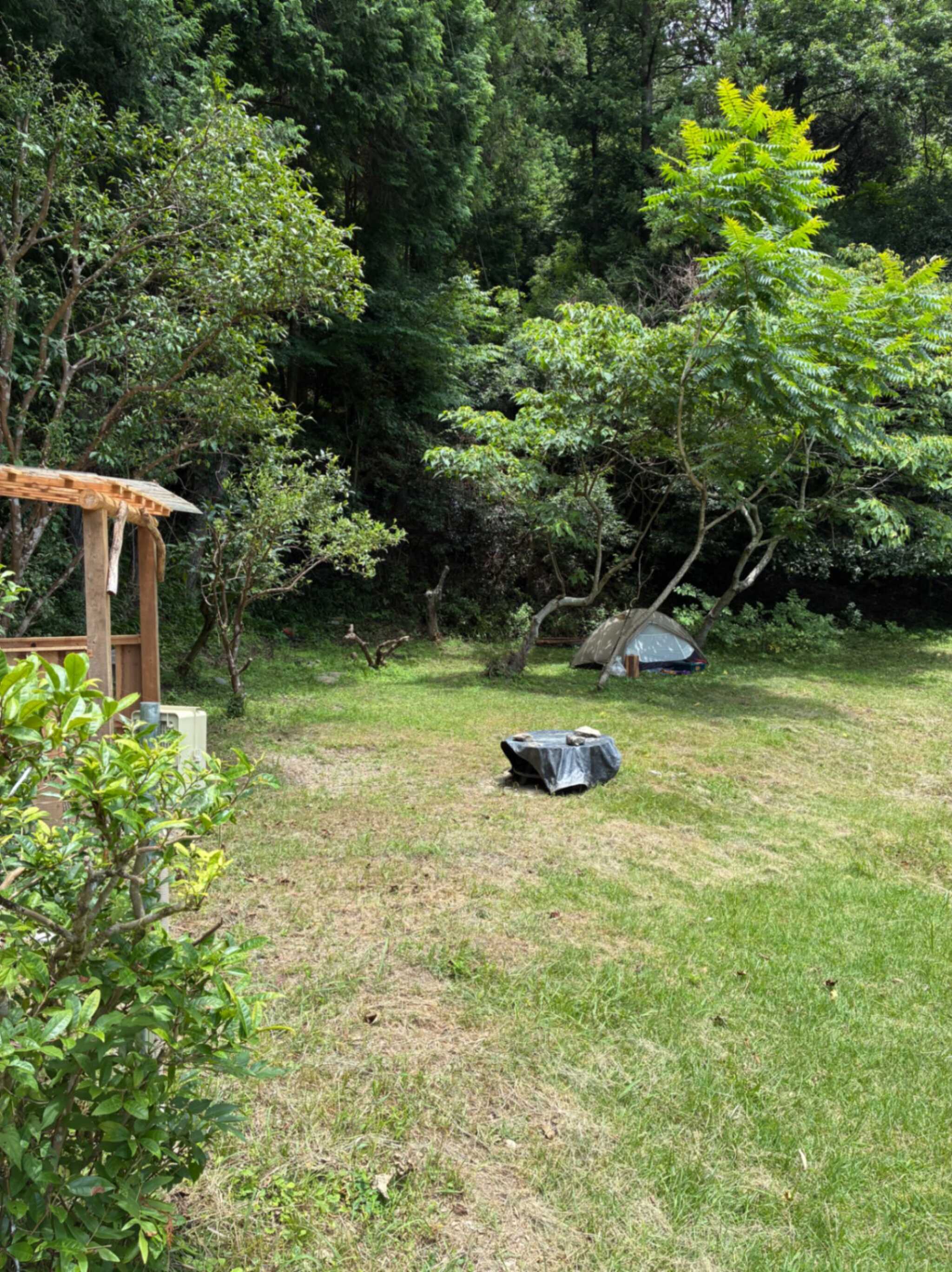 サイト全景(入口階段下から奥側)