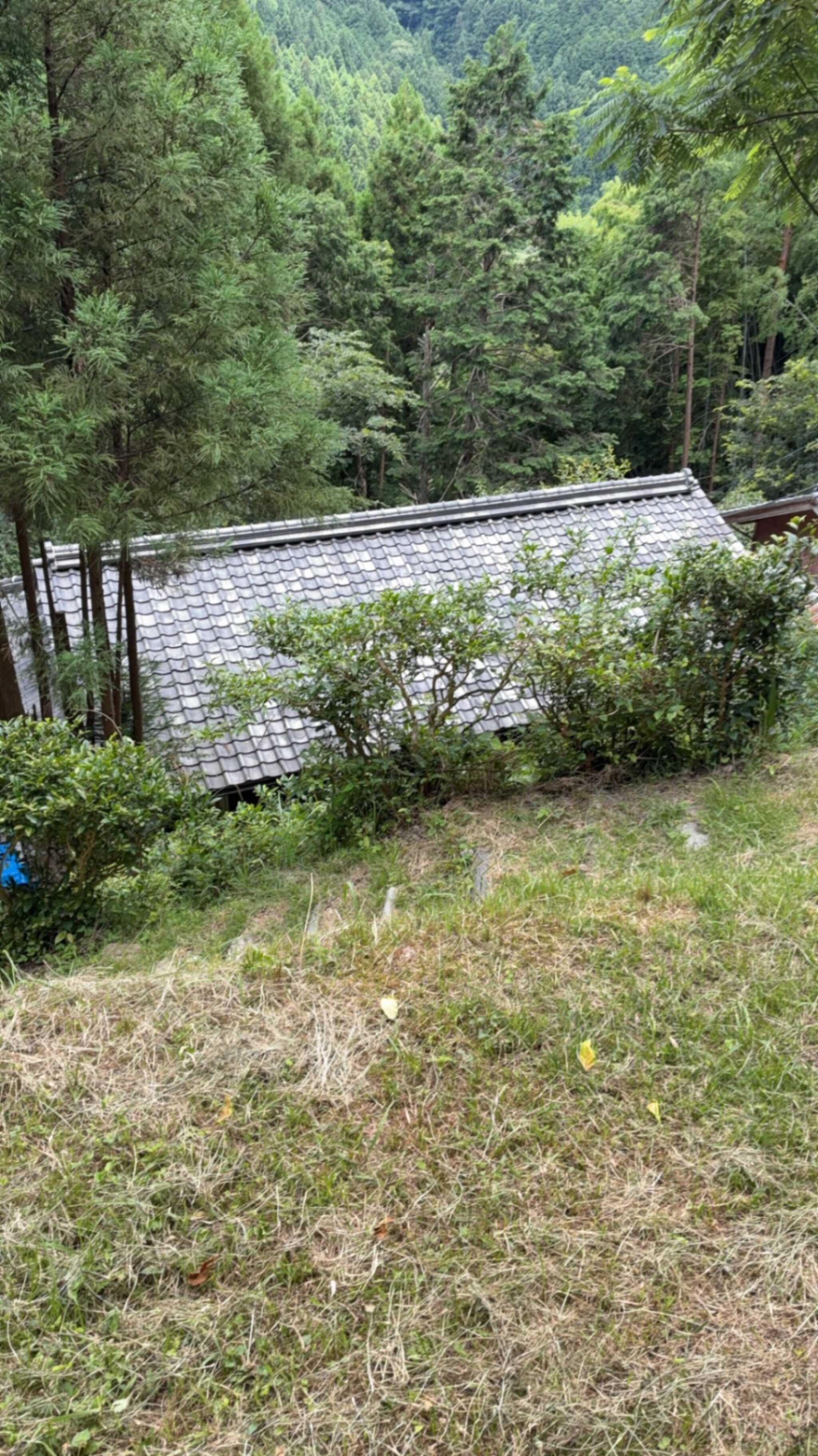 サイト下は修復中の古民家